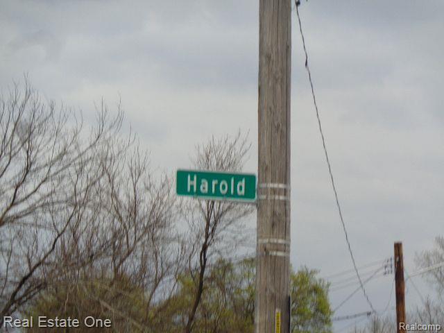 5678 Harold Street Hamtramck City MI 48212