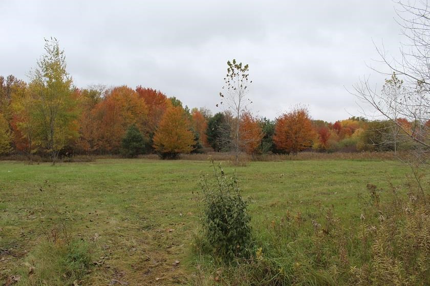 12113 N Linden Road Vienna Charter Township MI 48420