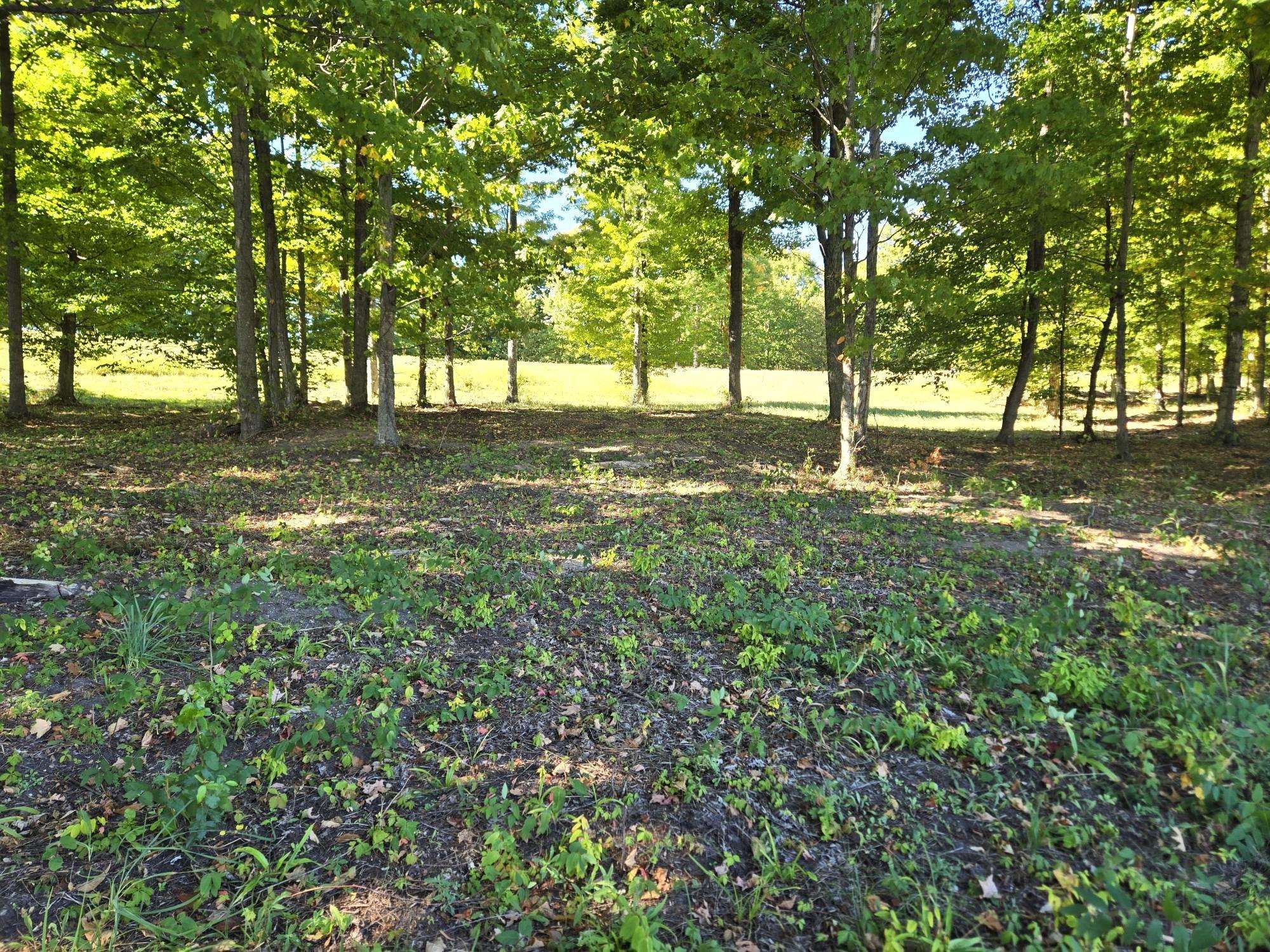 0019 Heather Ridge Trail Homestead Township MI 49617