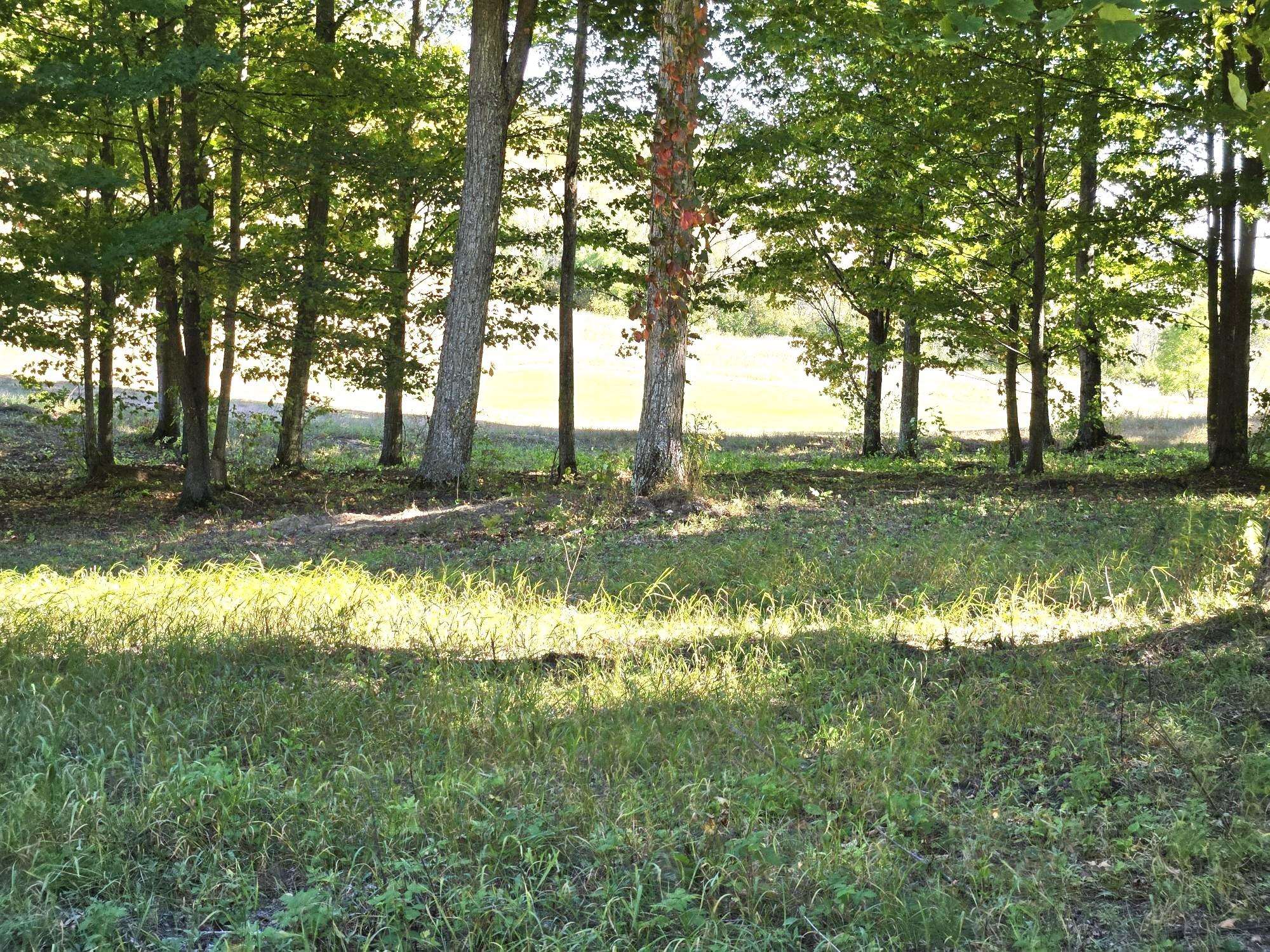 0019 Heather Ridge Trail Homestead Township MI 49617