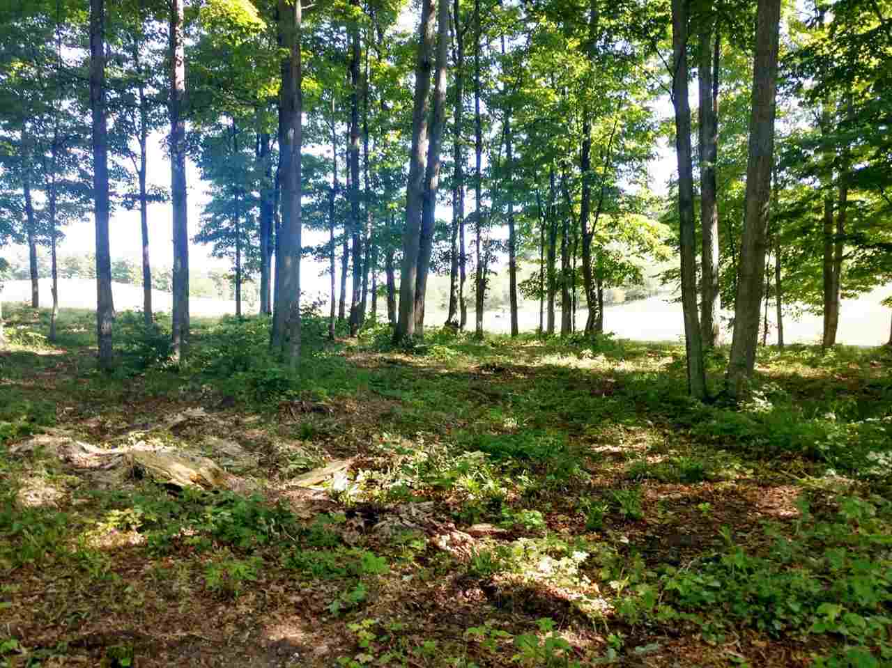 0019 Heather Ridge Trail Homestead Township MI 49617