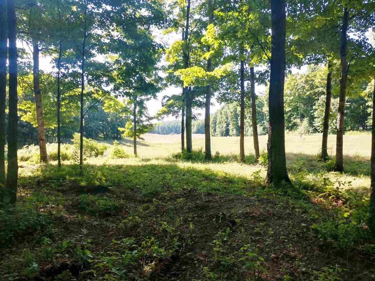 0019 Heather Ridge Trail Homestead Township MI 49617