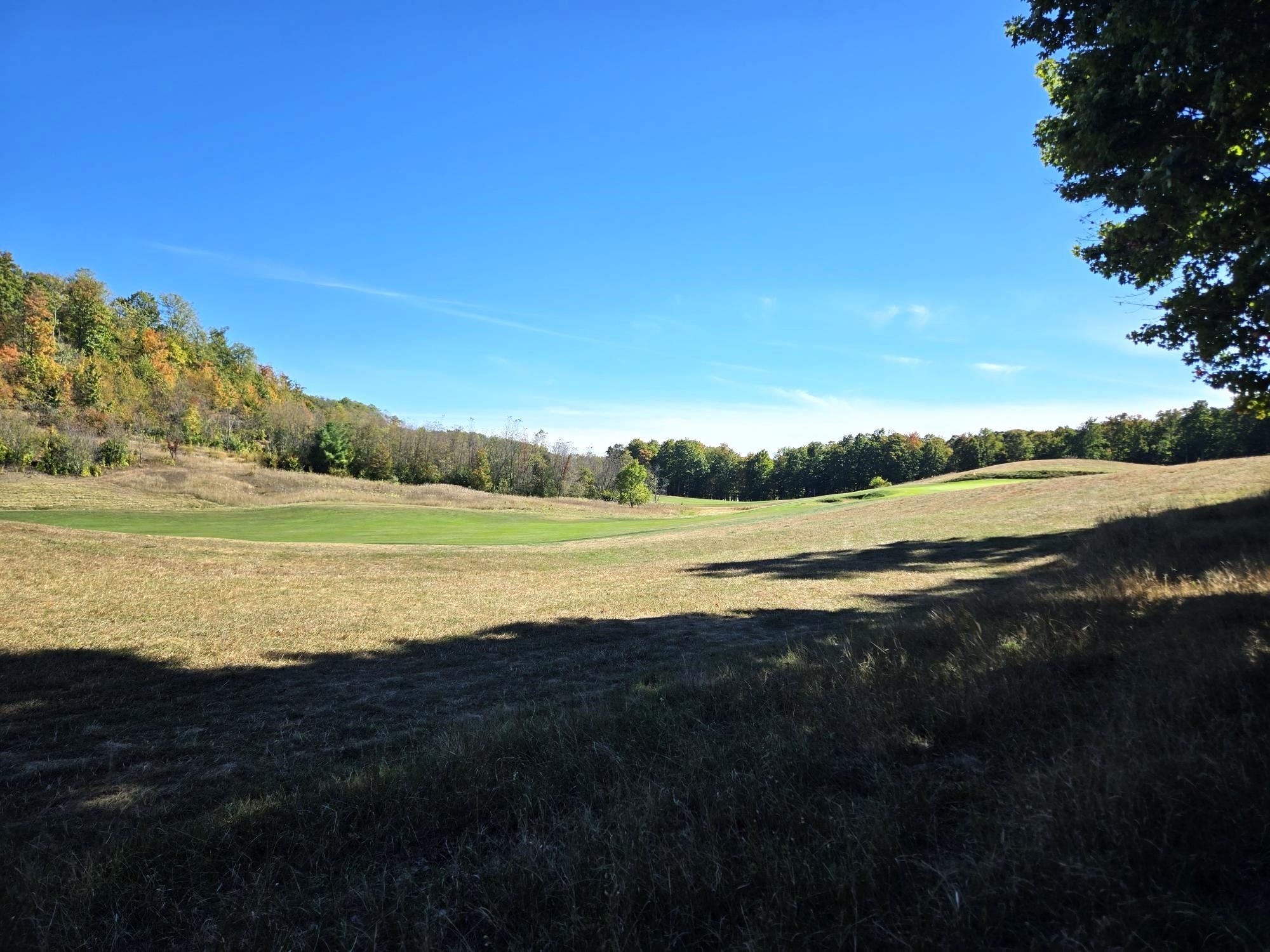 0019 Heather Ridge Trail Homestead Township MI 49617