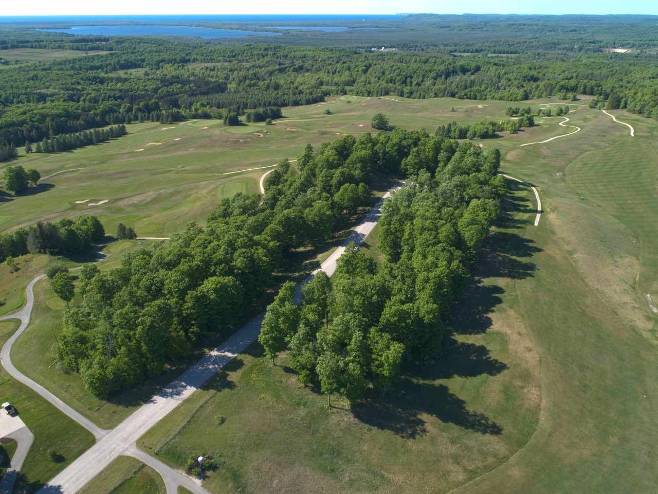 0019 Heather Ridge Trail Homestead Township MI 49617