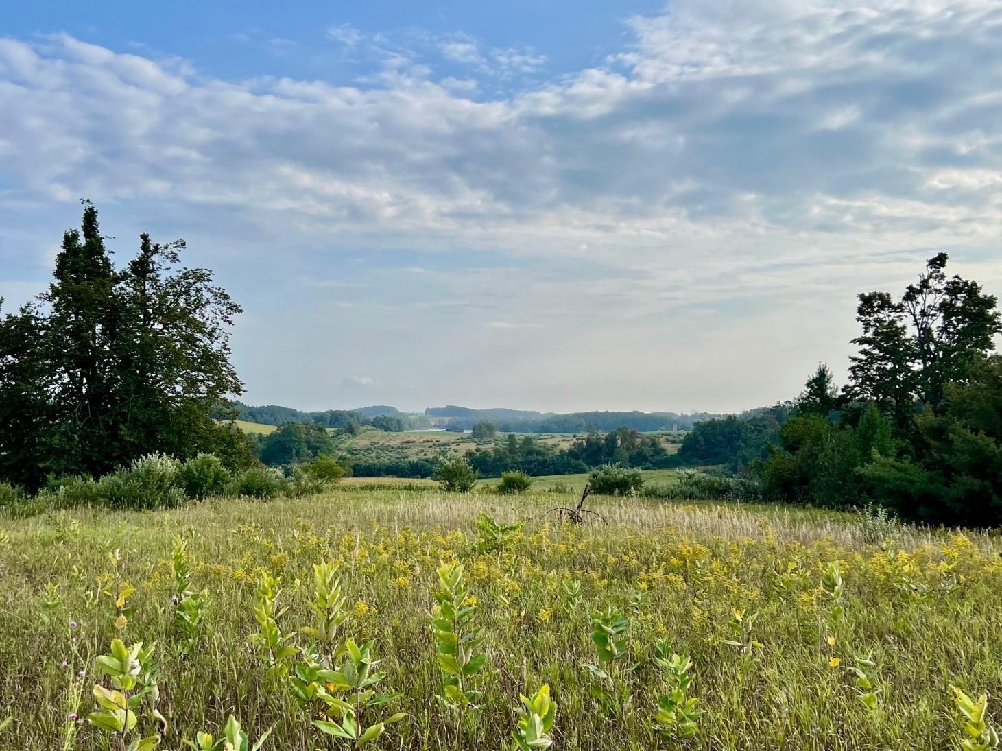 00 Skinner Road Banks Township MI 49729