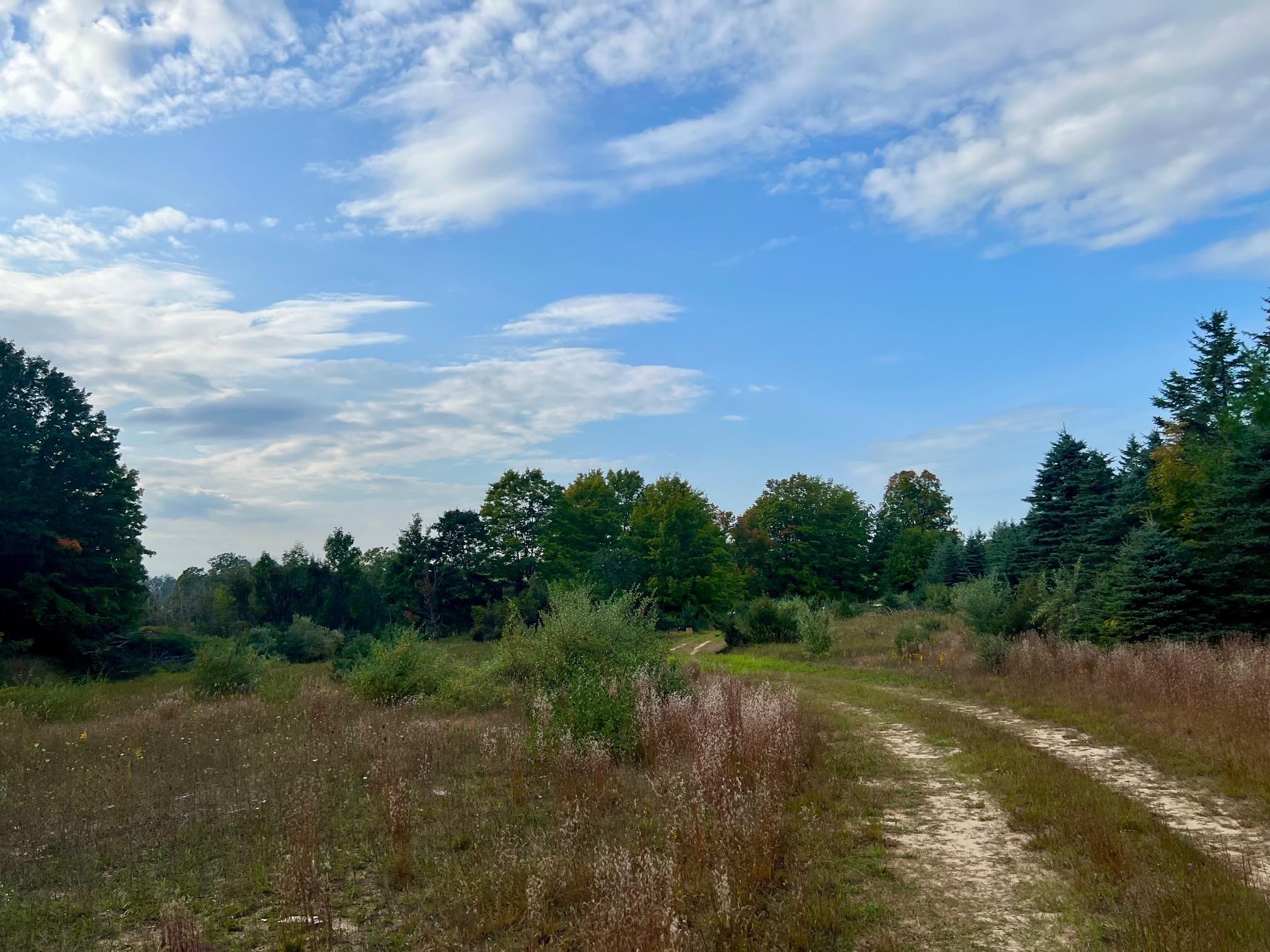 00 Skinner Road Banks Township MI 49729