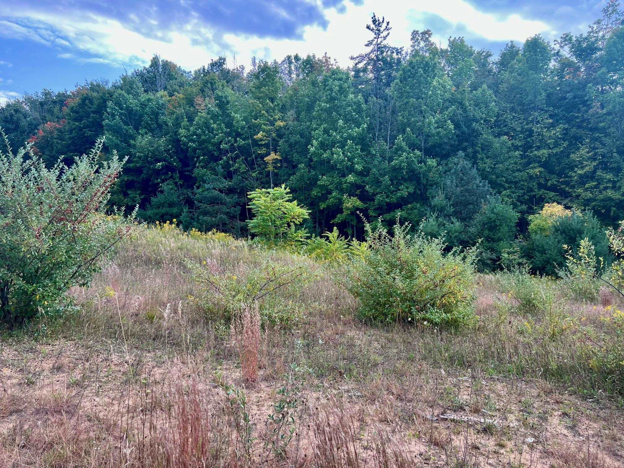 00 Skinner Road Banks Township MI 49729