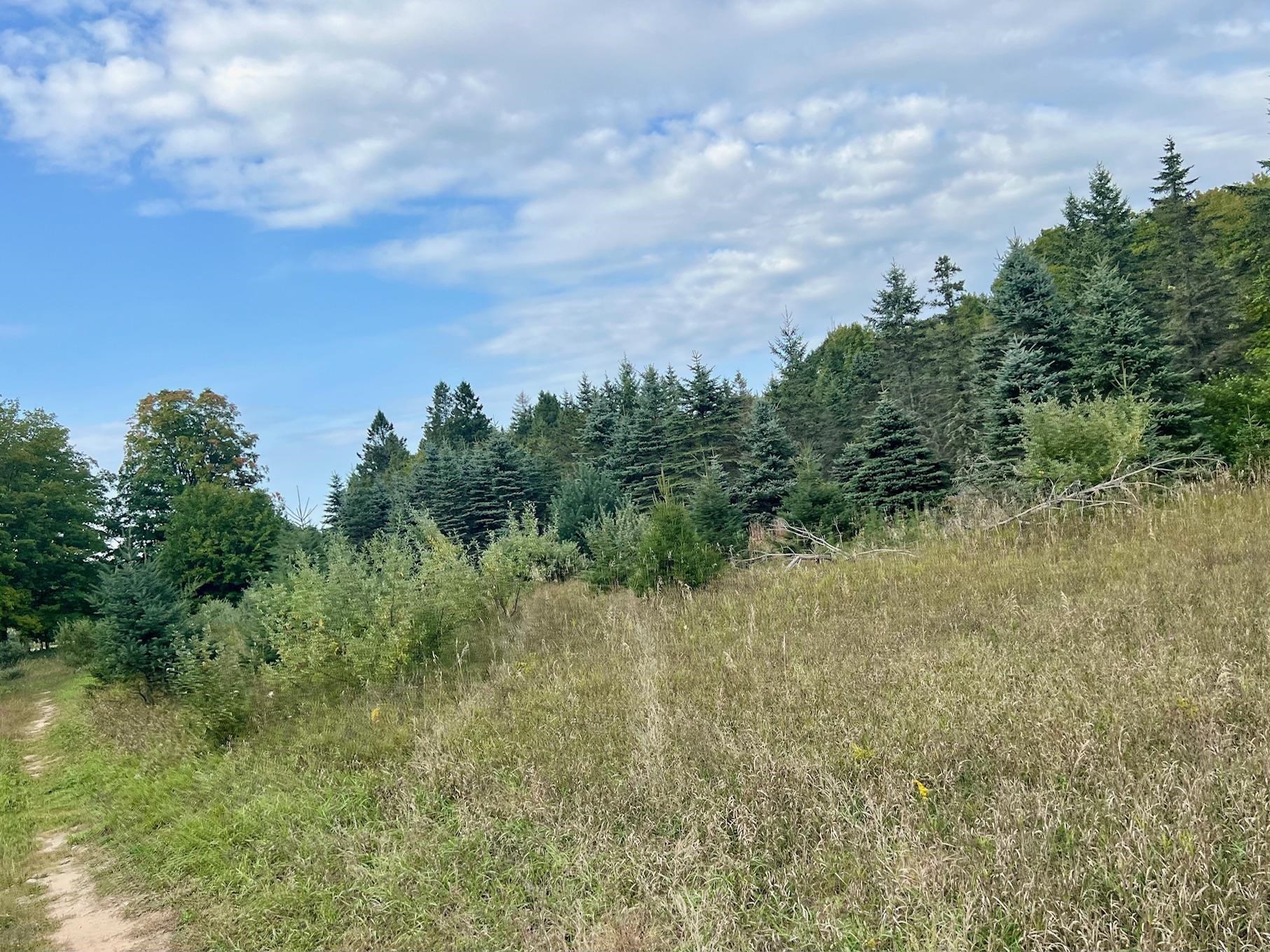 00 Skinner Road Banks Township MI 49729
