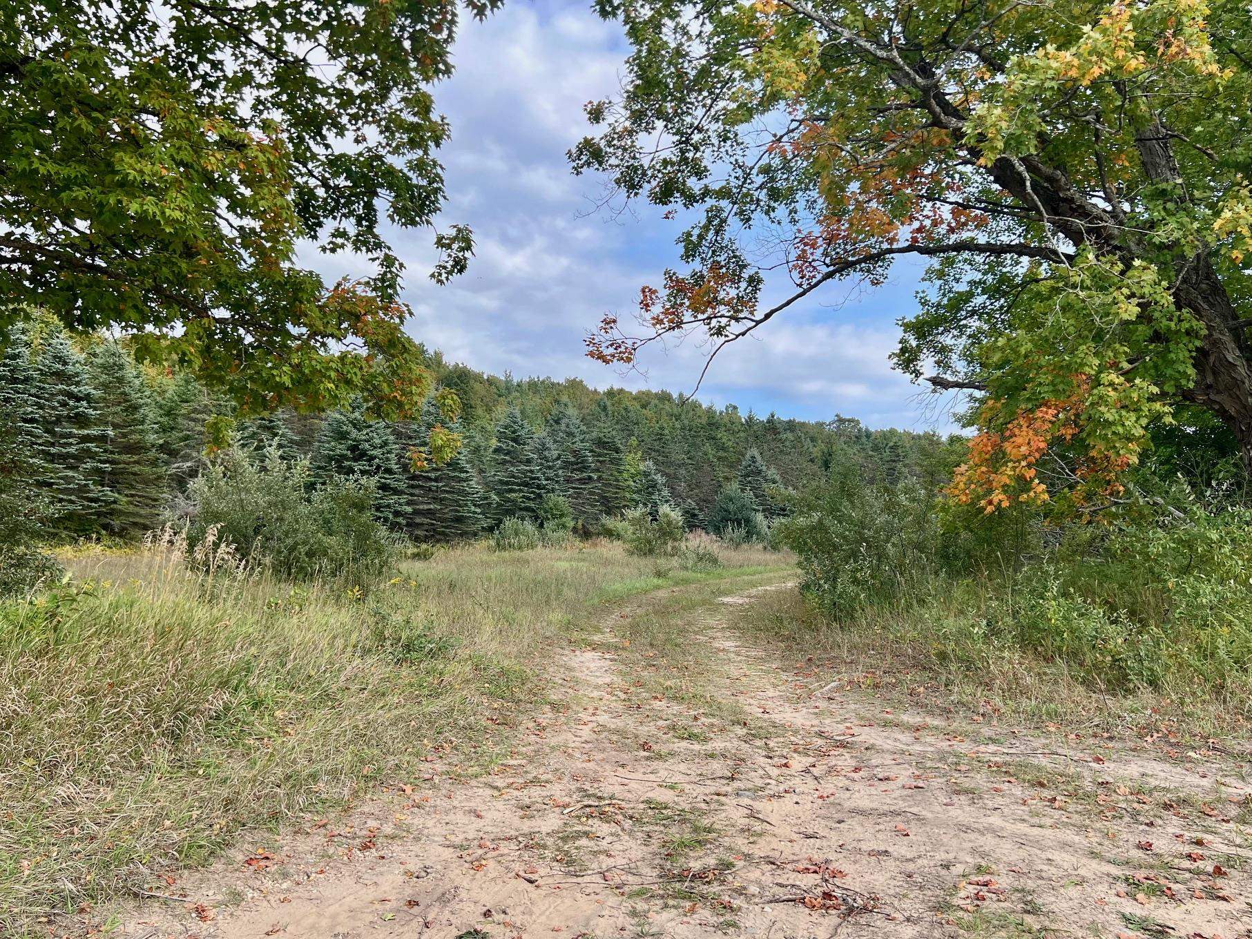 00 Skinner Road Banks Township MI 49729