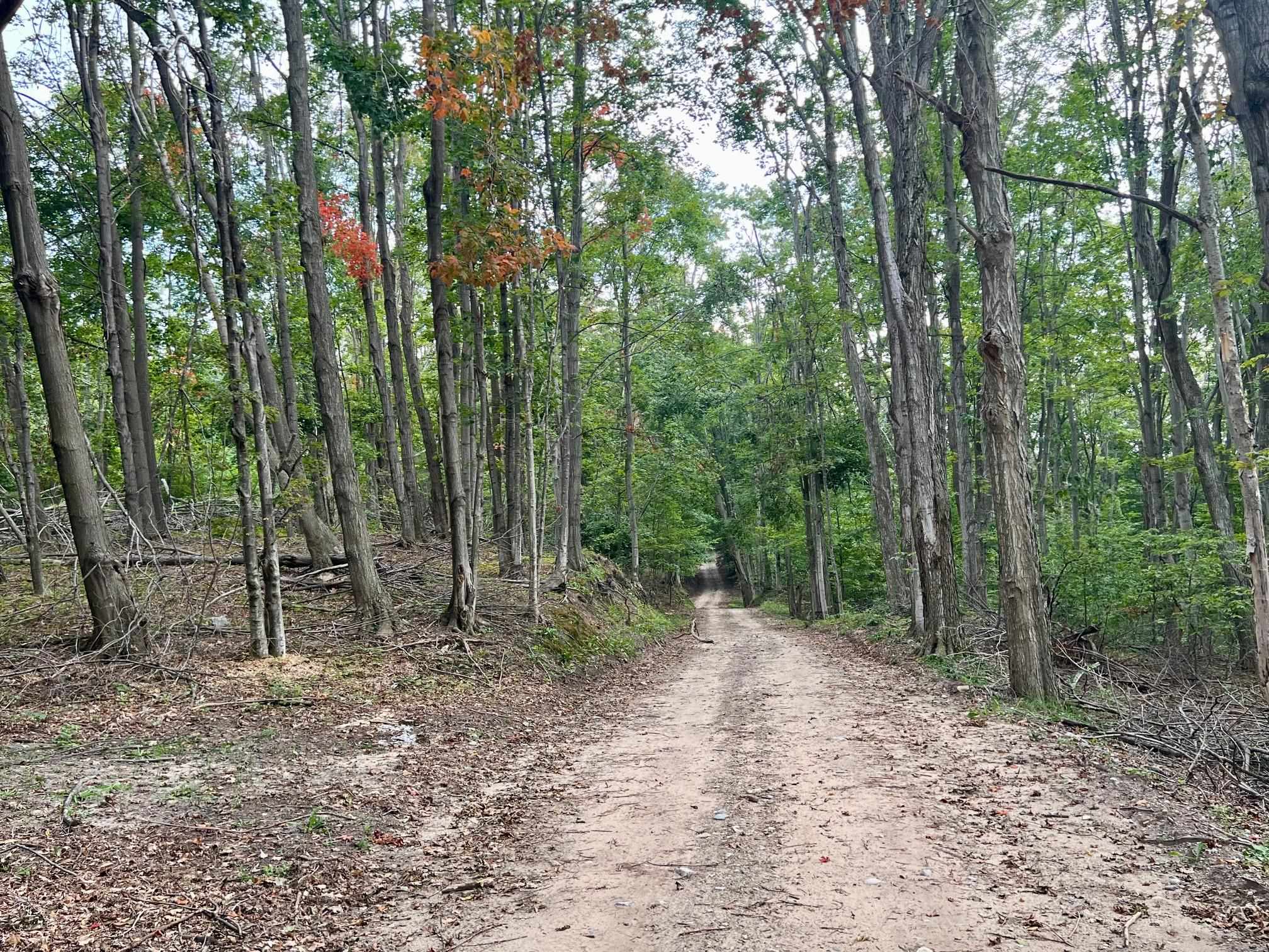 00 Skinner Road Banks Township MI 49729
