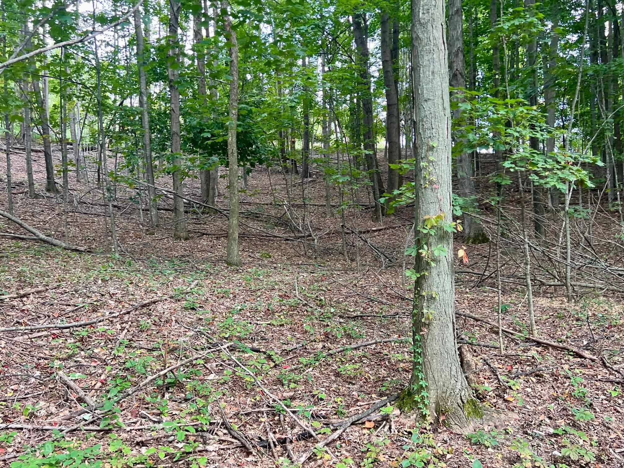 00 Skinner Road Banks Township MI 49729