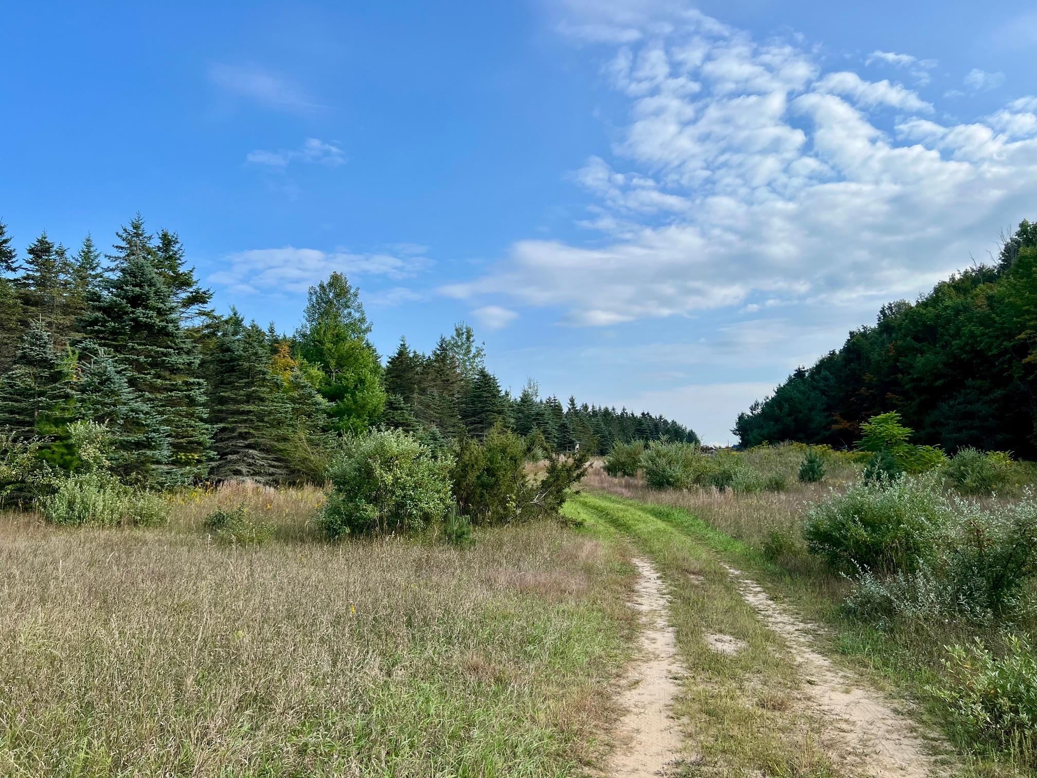 00 Skinner Road Banks Township MI 49729