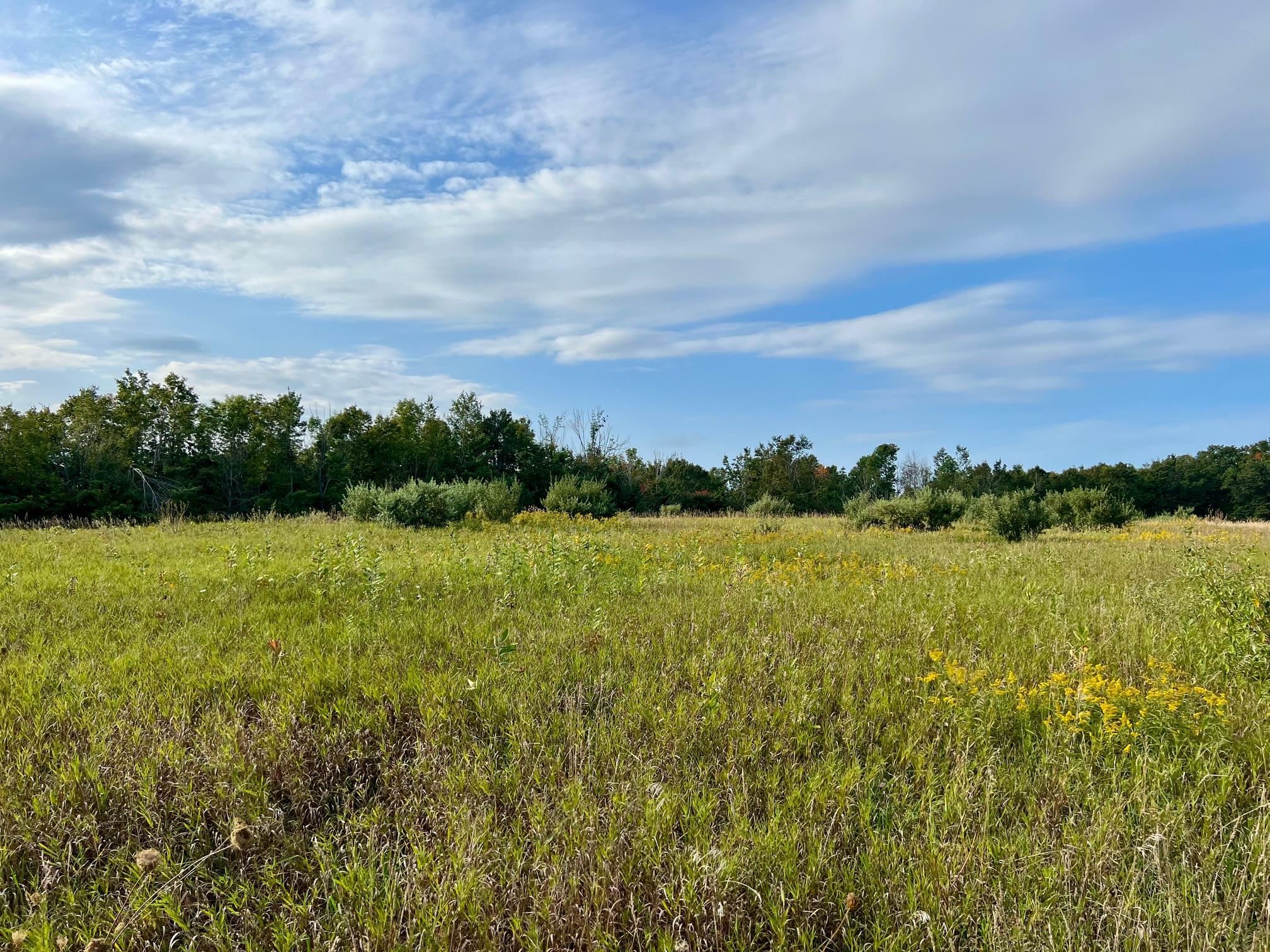 00 Skinner Road Banks Township MI 49729