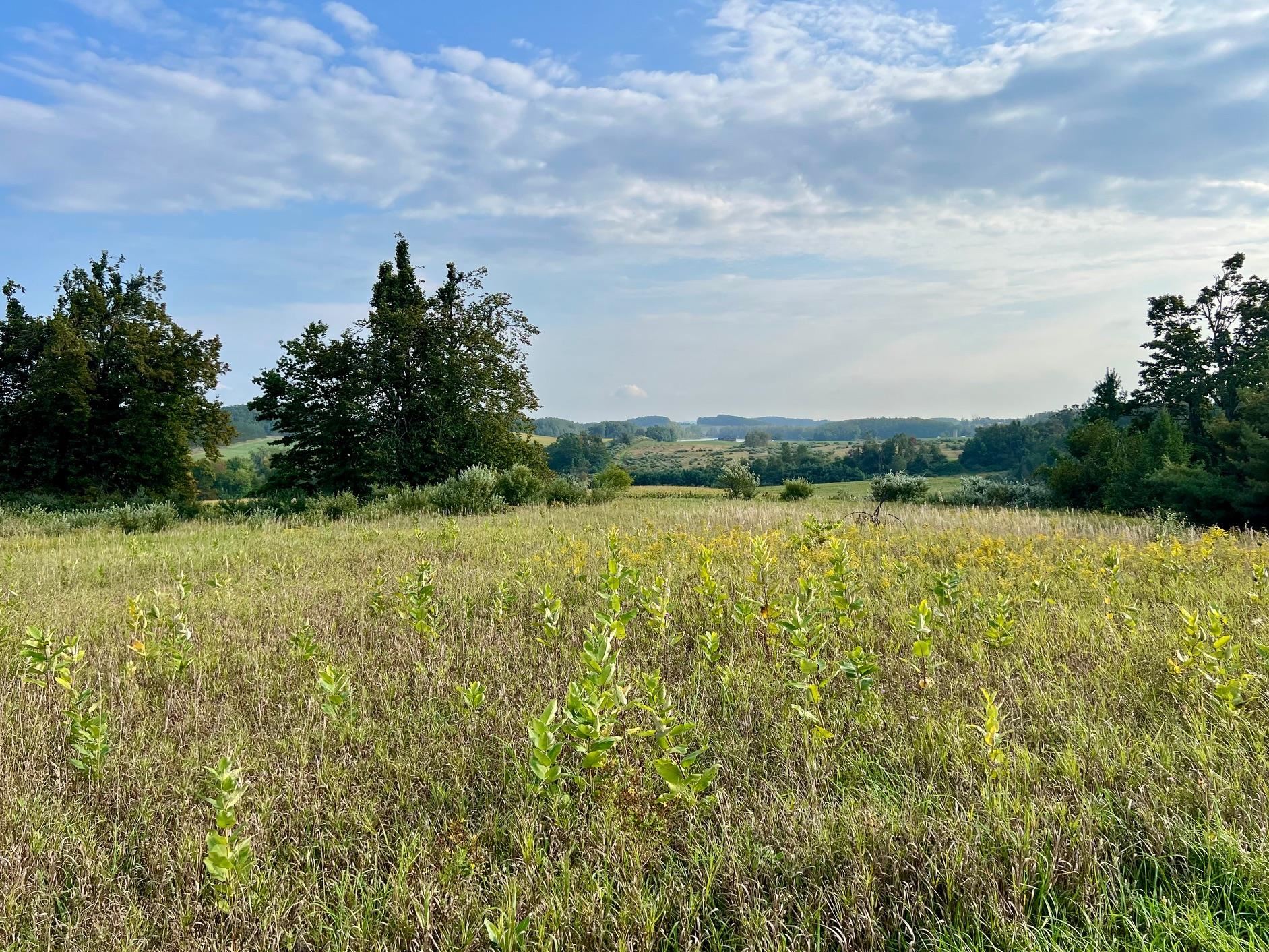 00 Skinner Road Banks Township MI 49729