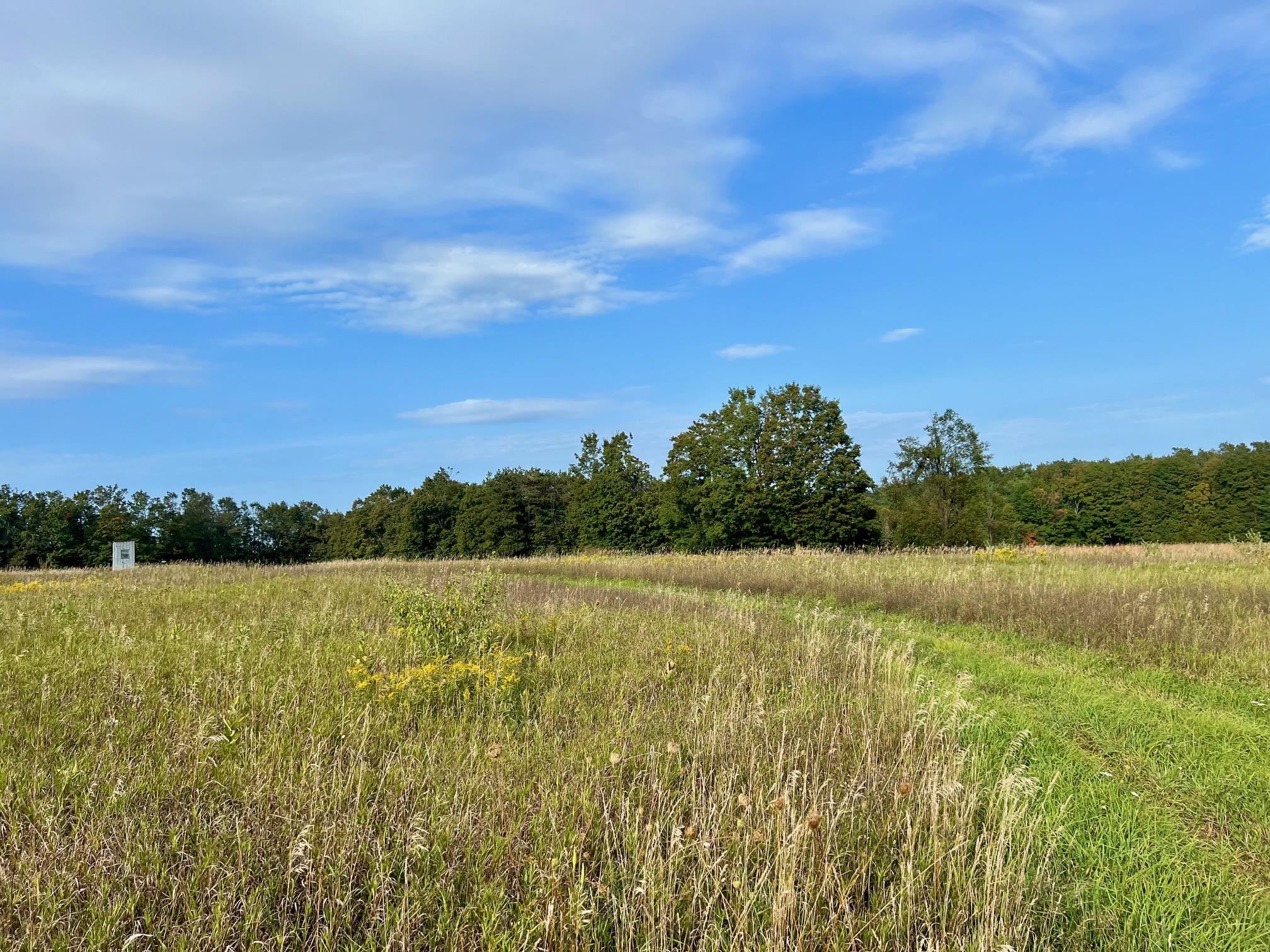 00 Skinner Road Banks Township MI 49729
