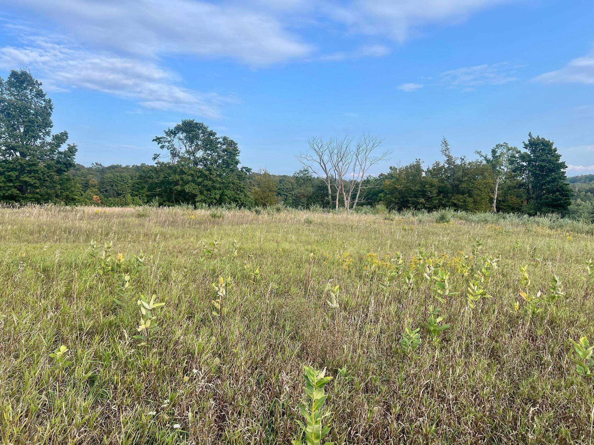 00 Skinner Road Banks Township MI 49729