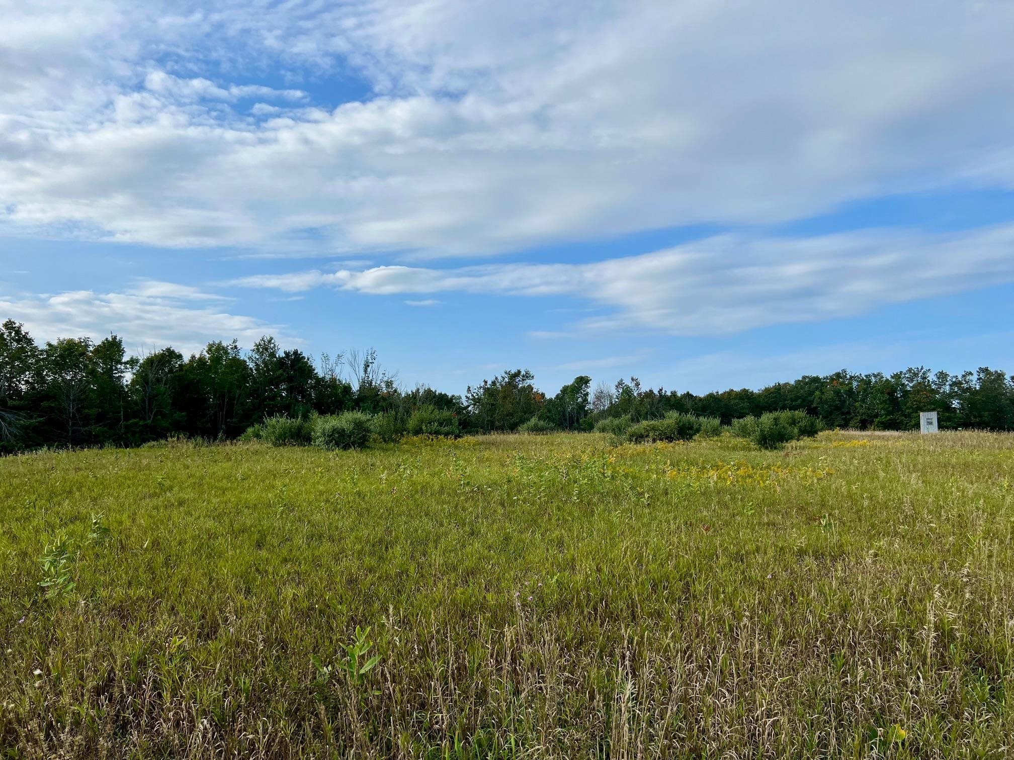 00 Skinner Road Banks Township MI 49729
