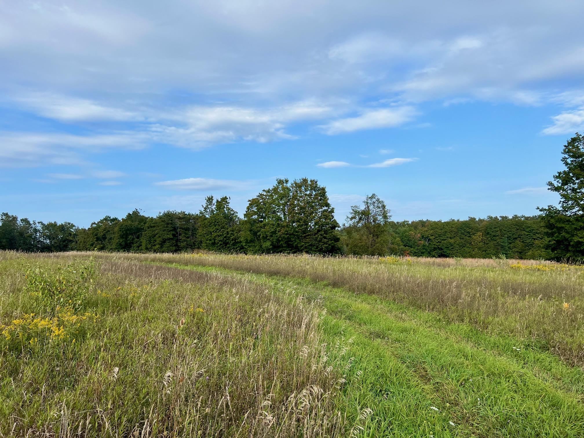 00 Skinner Road Banks Township MI 49729