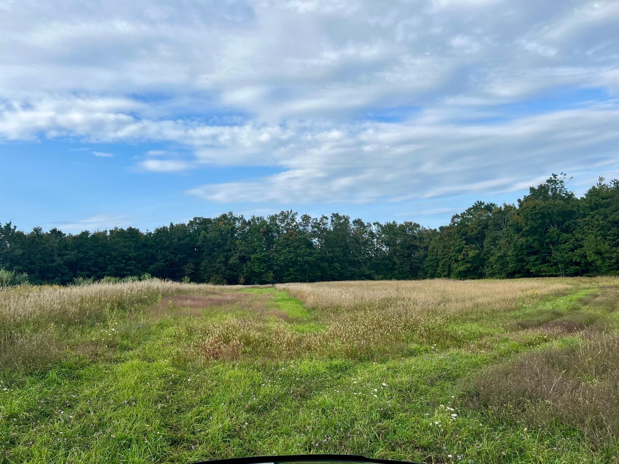 00 Skinner Road Banks Township MI 49729