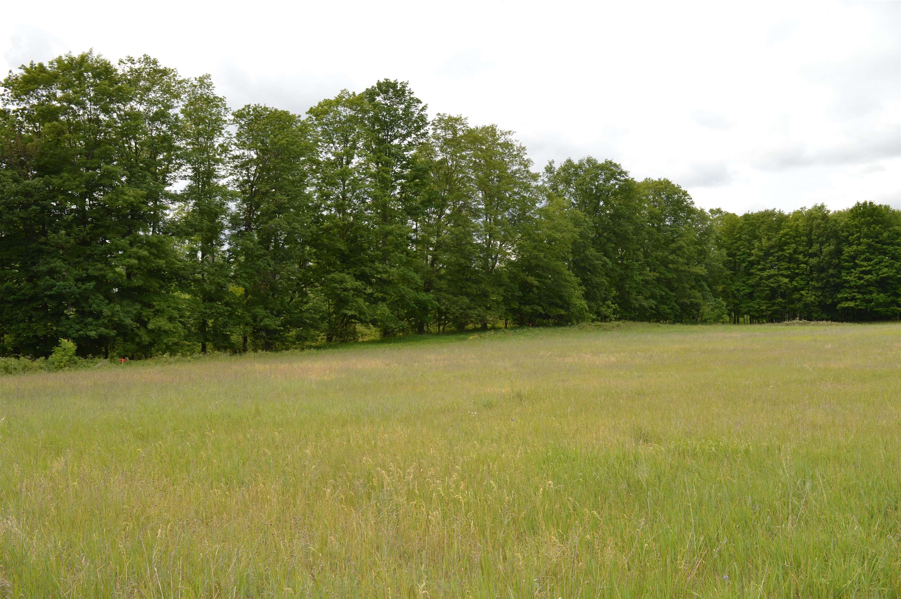 J Summit City Road Paradise Township MI 49649