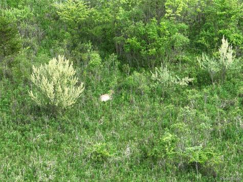 v/l Bunkerhill Road Henrietta Township MI 49272