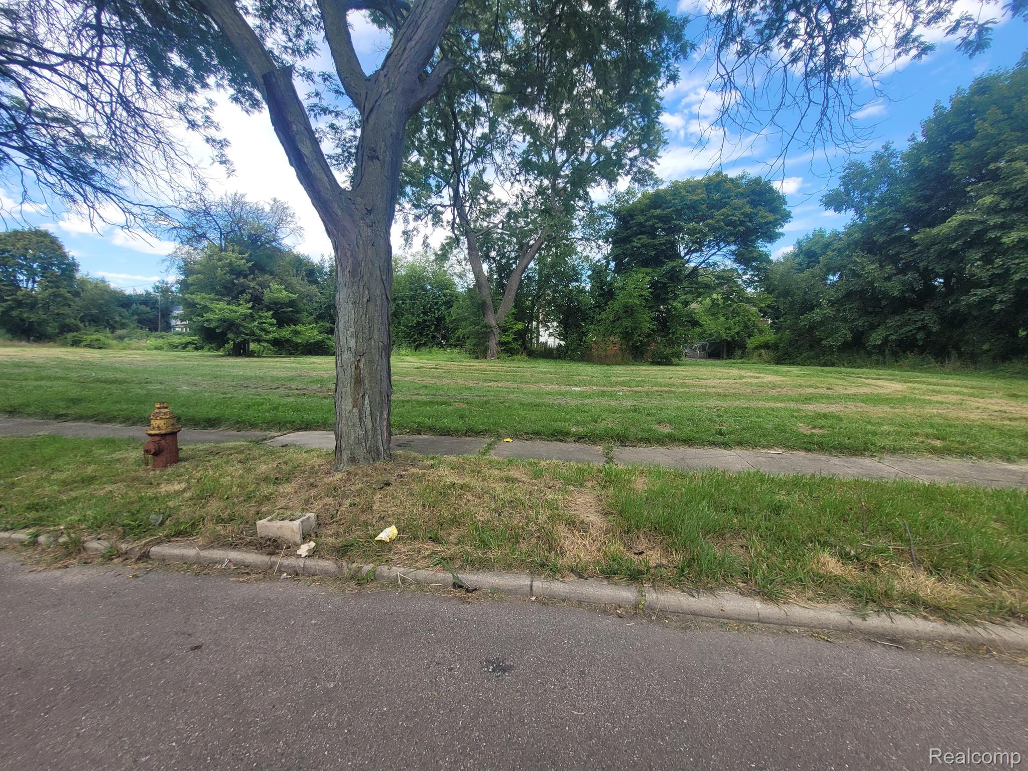 3254 Canton Street Detroit City MI 48207