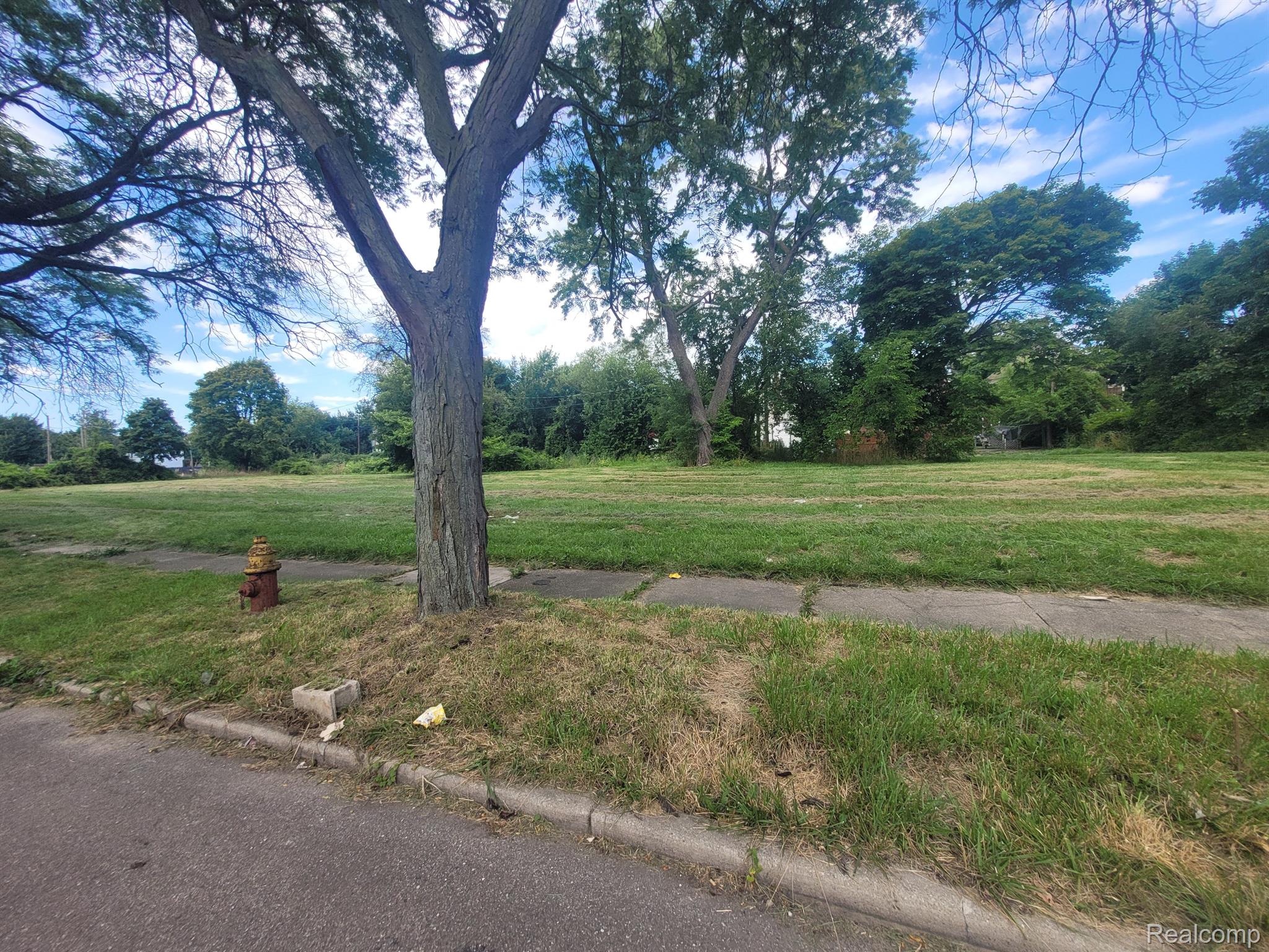 3254 Canton Street Detroit City MI 48207