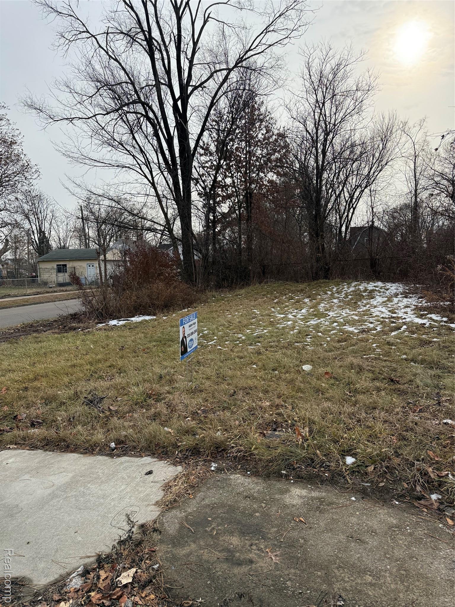 8601 Chalfonte Street Detroit City MI 48238