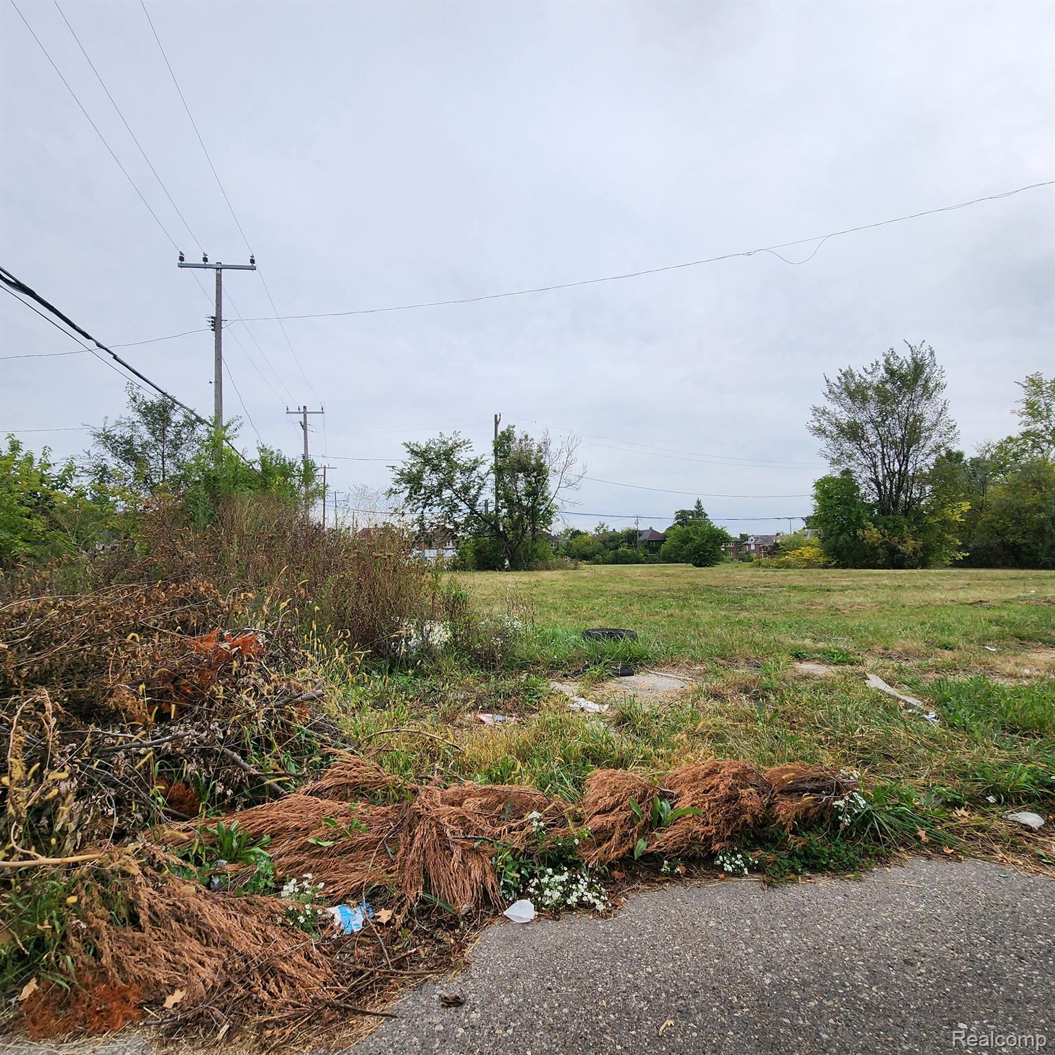 3751 Longfellow Street Detroit City MI 48206