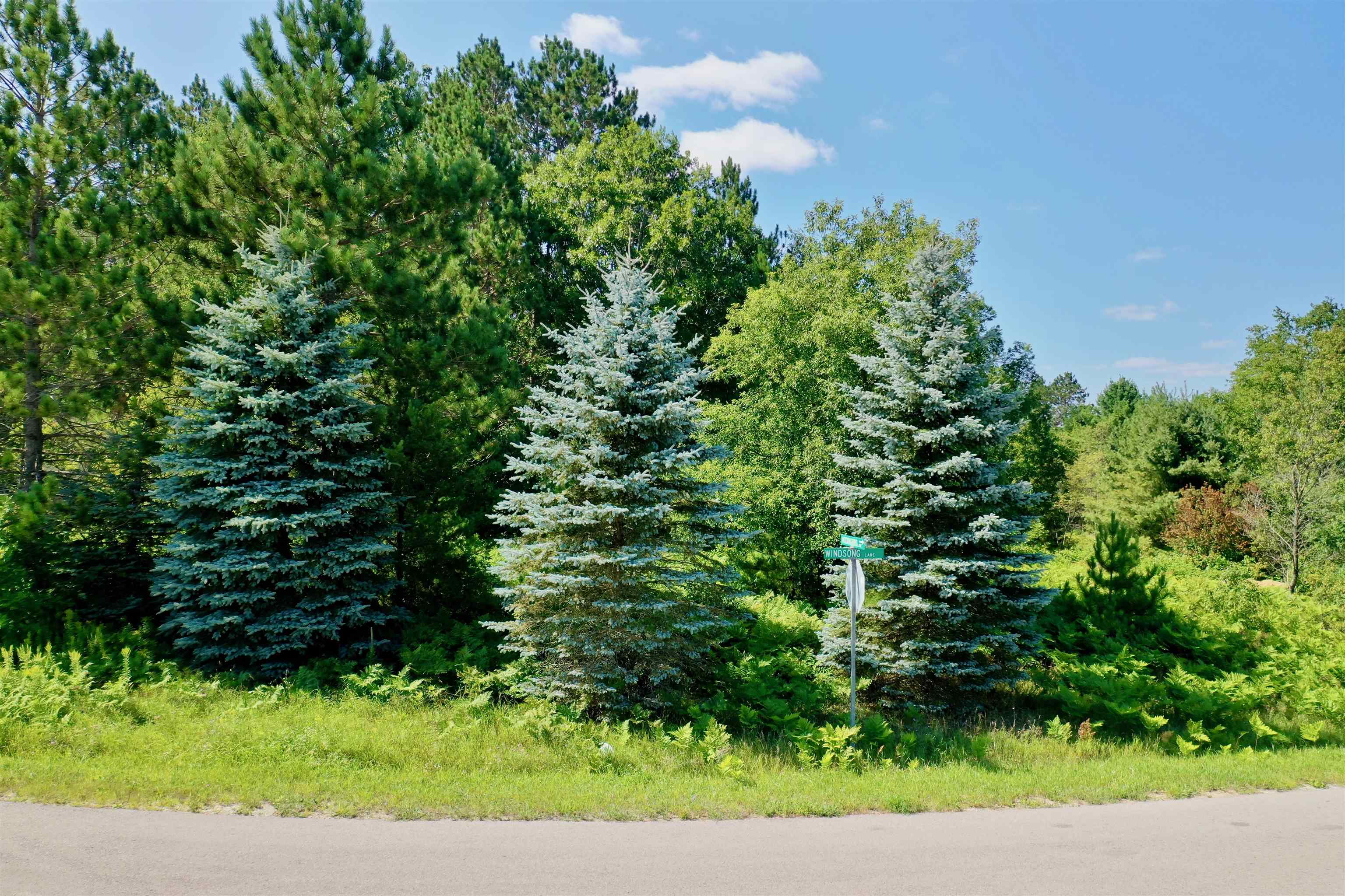Lot 16 Windsong Lane Clam Lake Township MI 49601