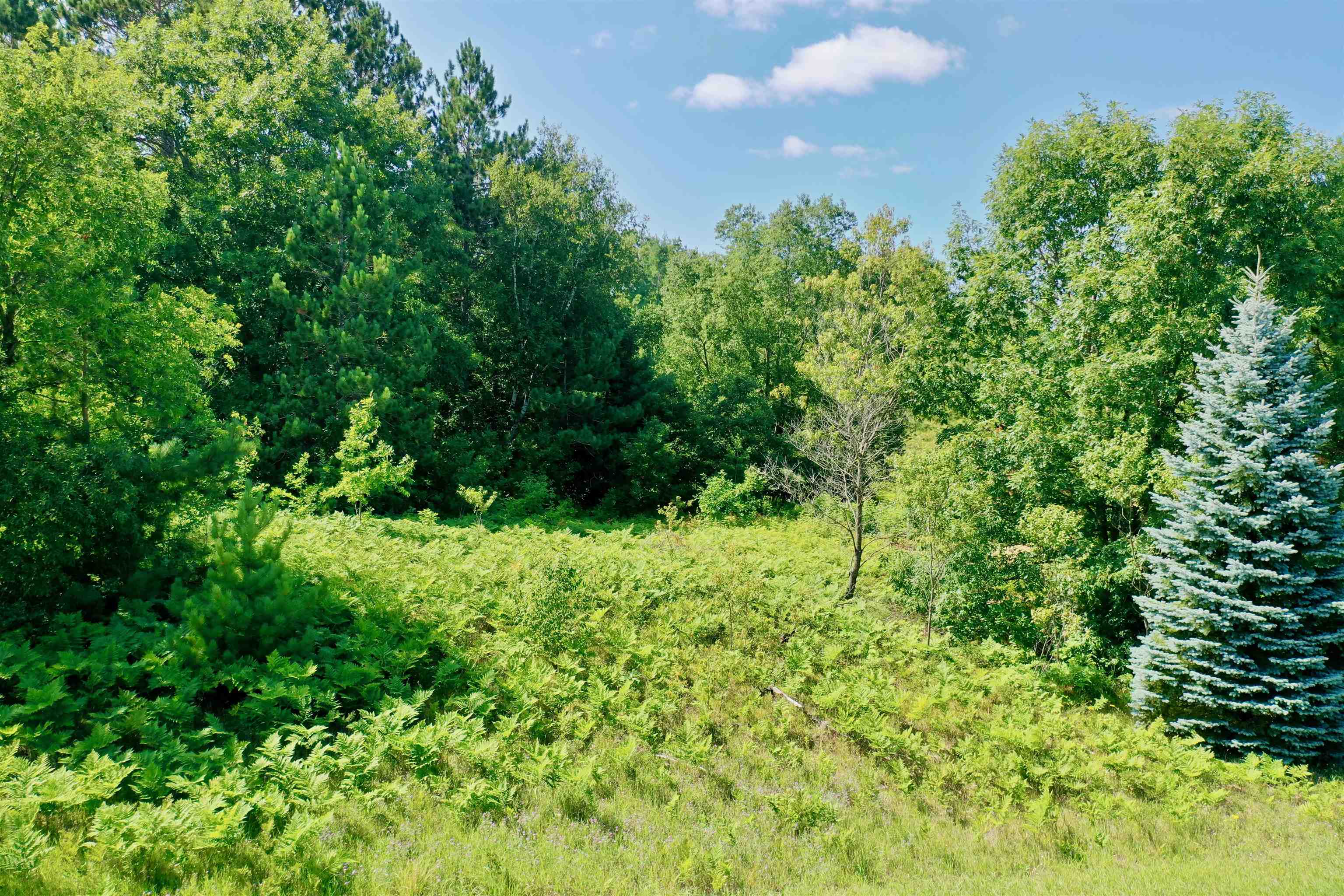Lot 16 Windsong Lane Clam Lake Township MI 49601