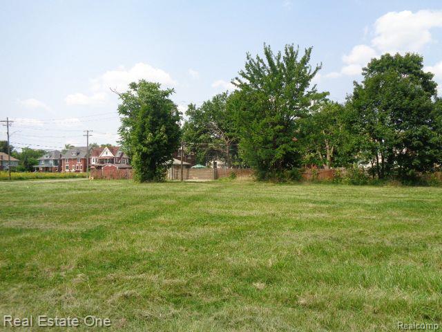 227 Belmont Street Detroit City MI 48202