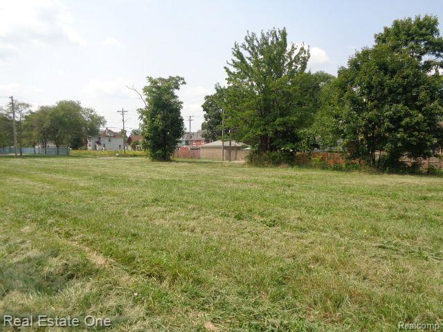 227 Belmont Street Detroit City MI 48202