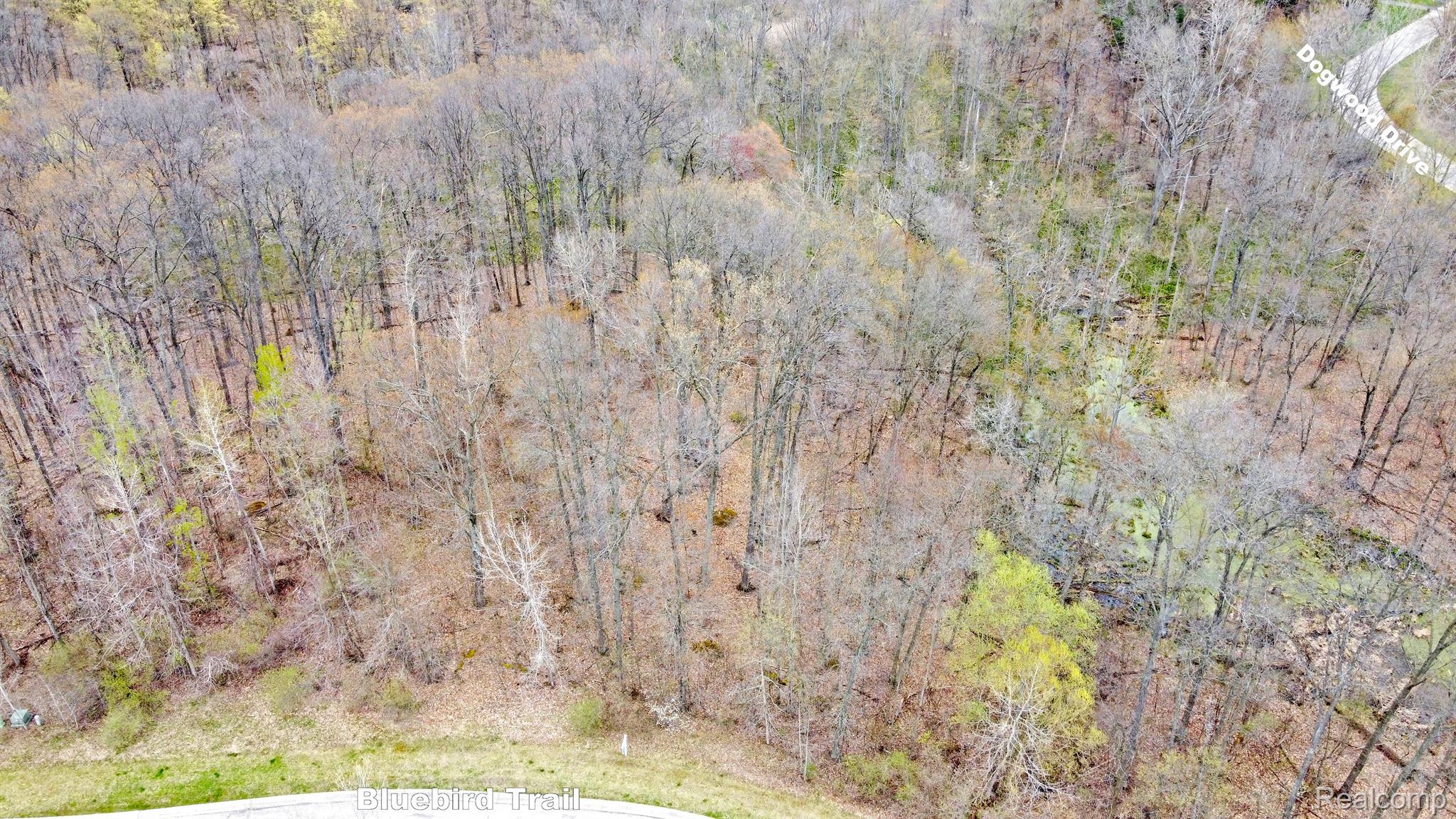 313 Dogwood Lane Groveland Township MI 48462
