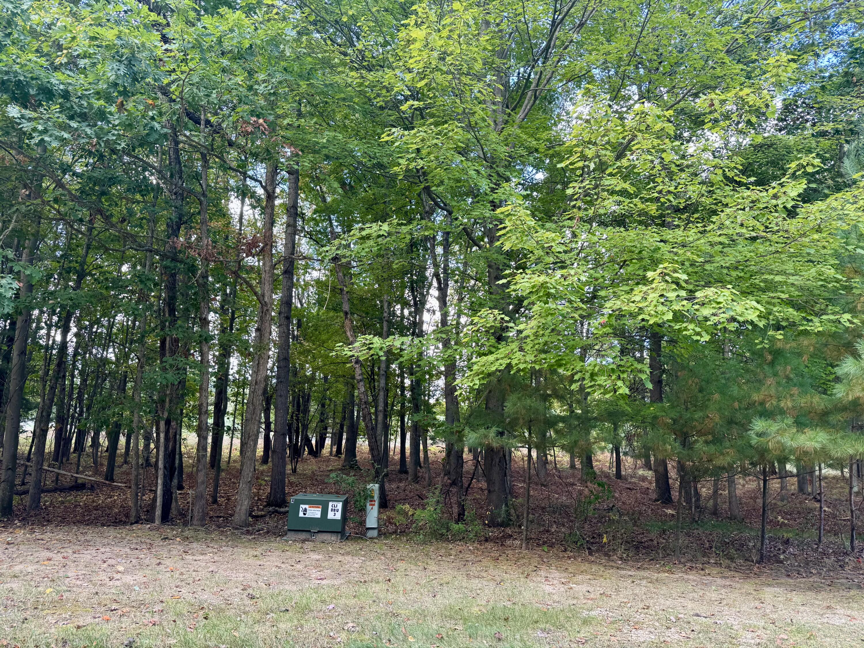 6485 Dunhill Drive Morton Township MI 49346