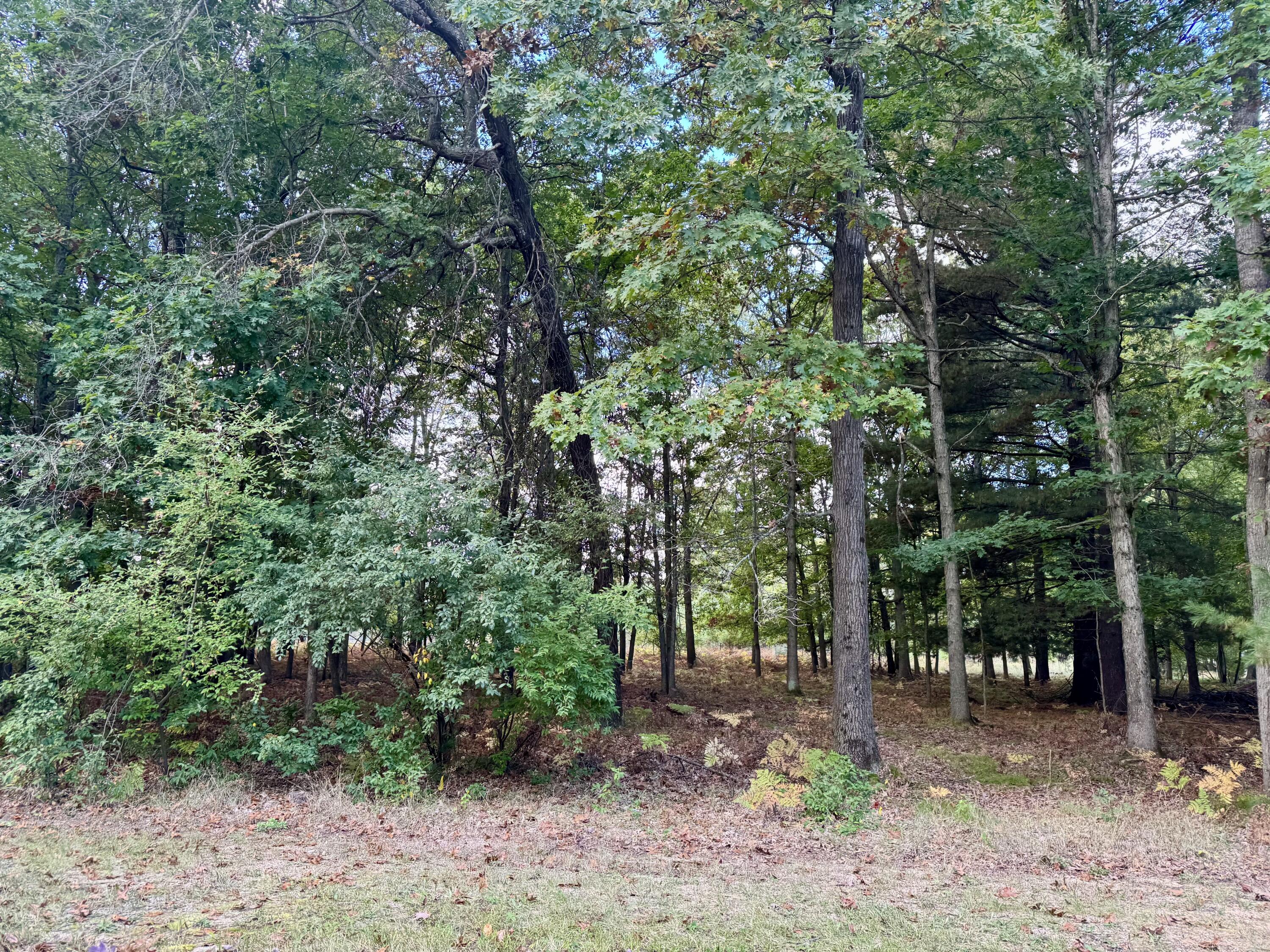 6485 Dunhill Drive Morton Township MI 49346