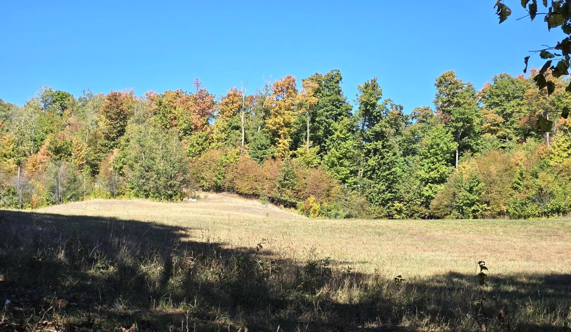 0024 Heather Ridge Trail Homestead Township MI 49617