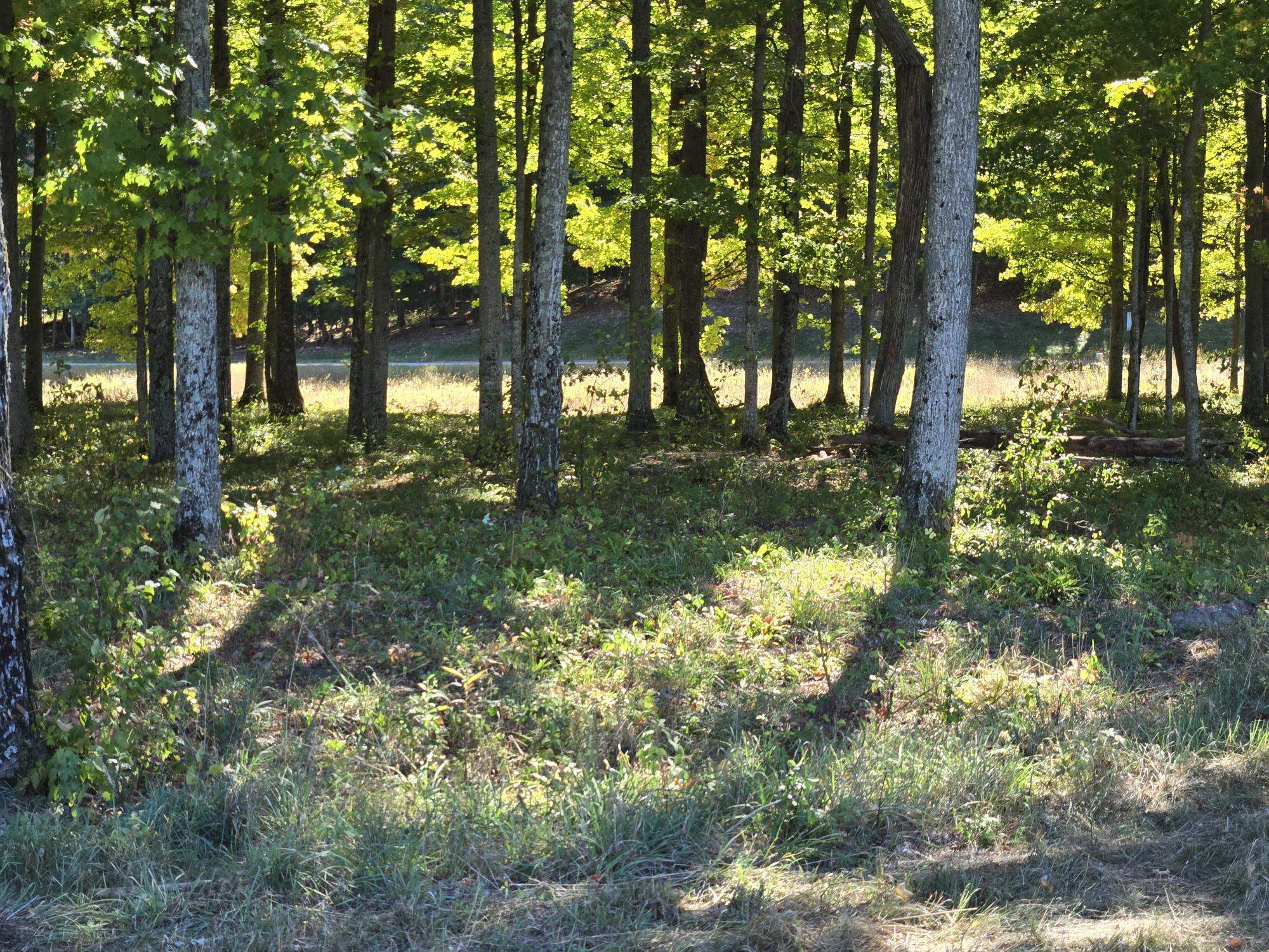 0024 Heather Ridge Trail Homestead Township MI 49617