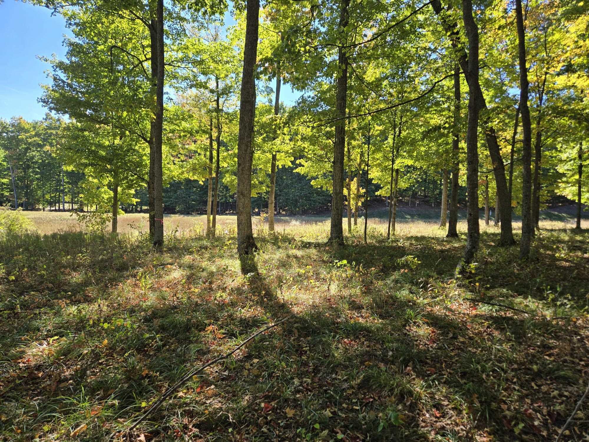 0024 Heather Ridge Trail Homestead Township MI 49617