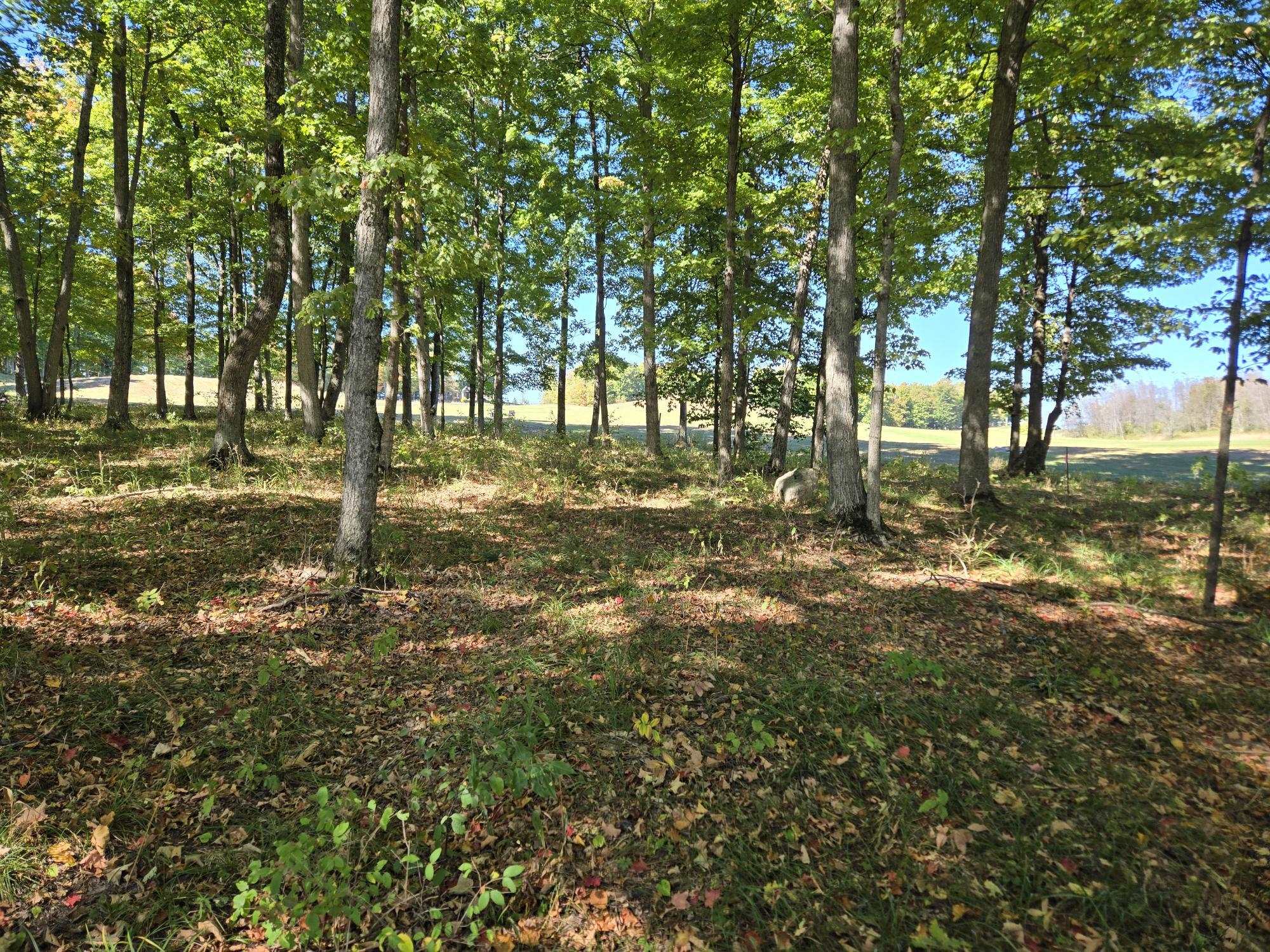 0024 Heather Ridge Trail Homestead Township MI 49617