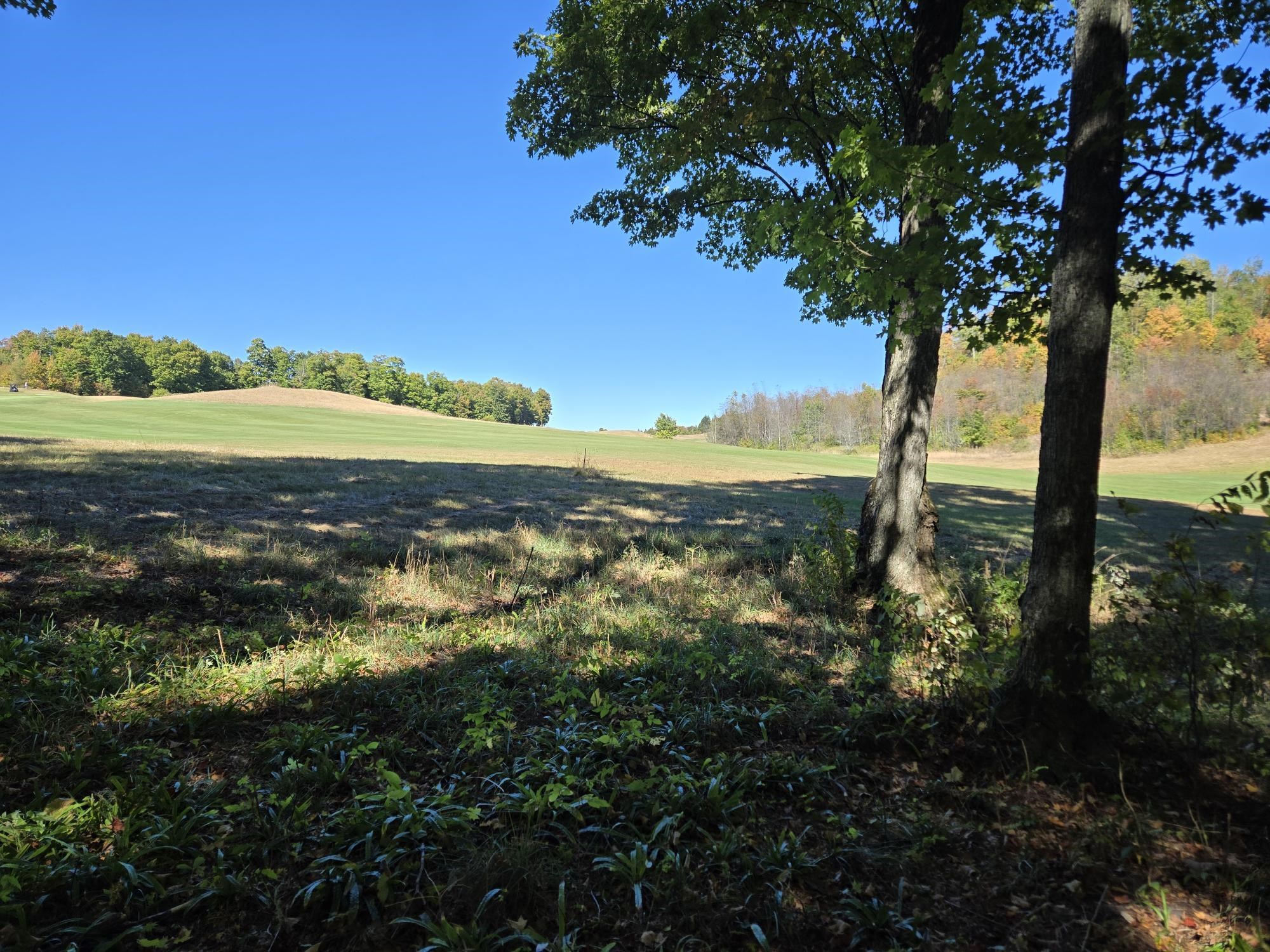 0024 Heather Ridge Trail Homestead Township MI 49617