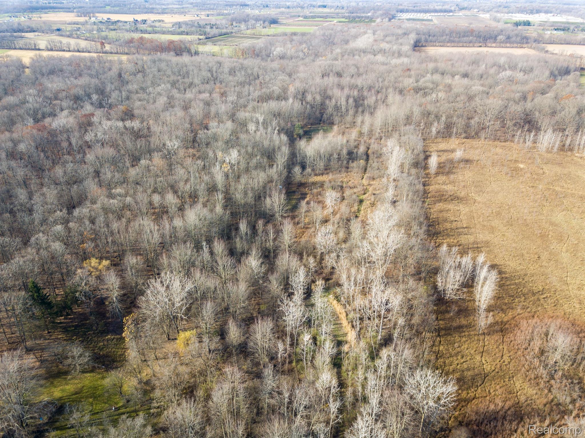 00 S Forest Lenox Township MI 48050