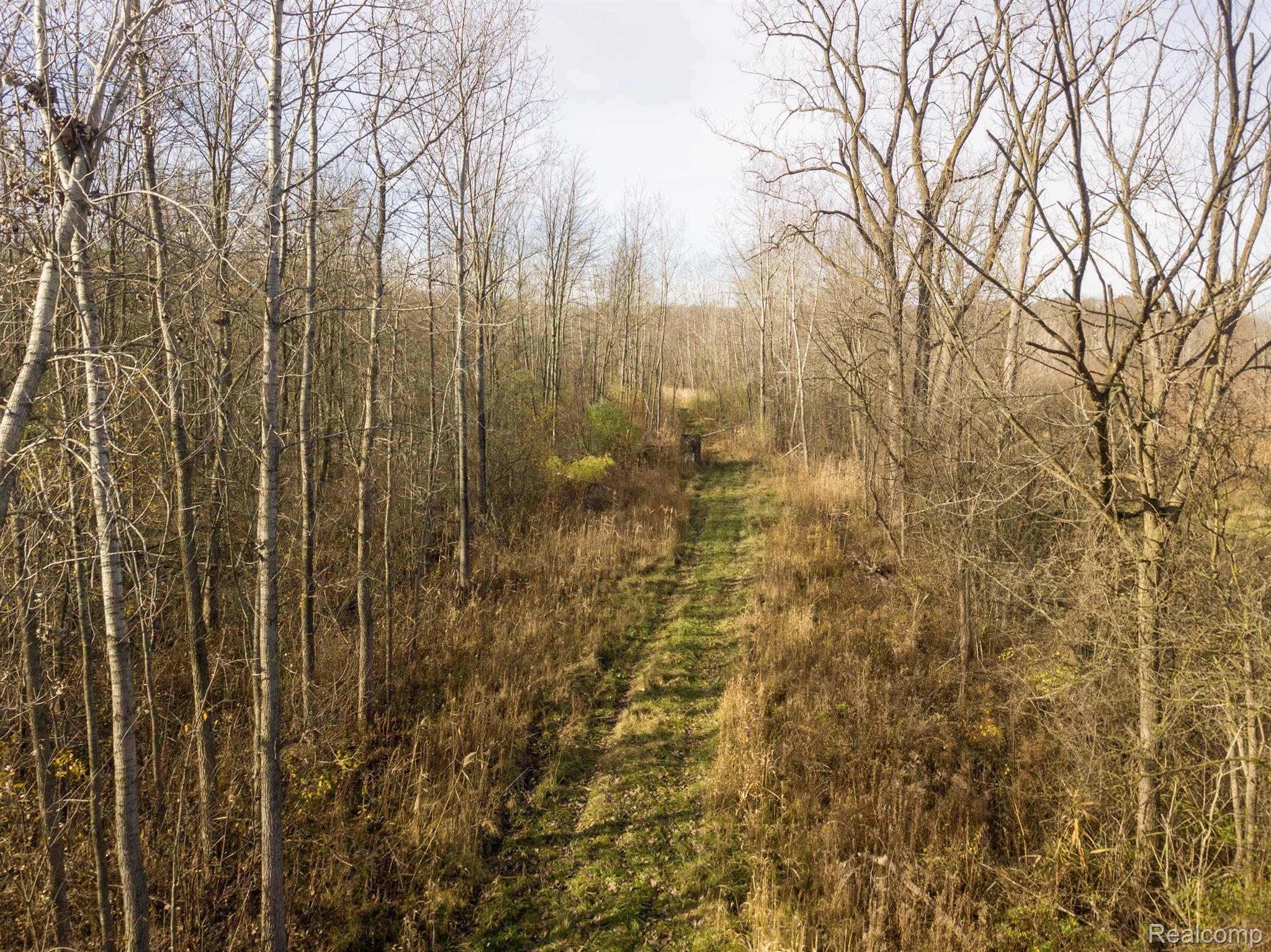 00 S Forest Lenox Township MI 48050