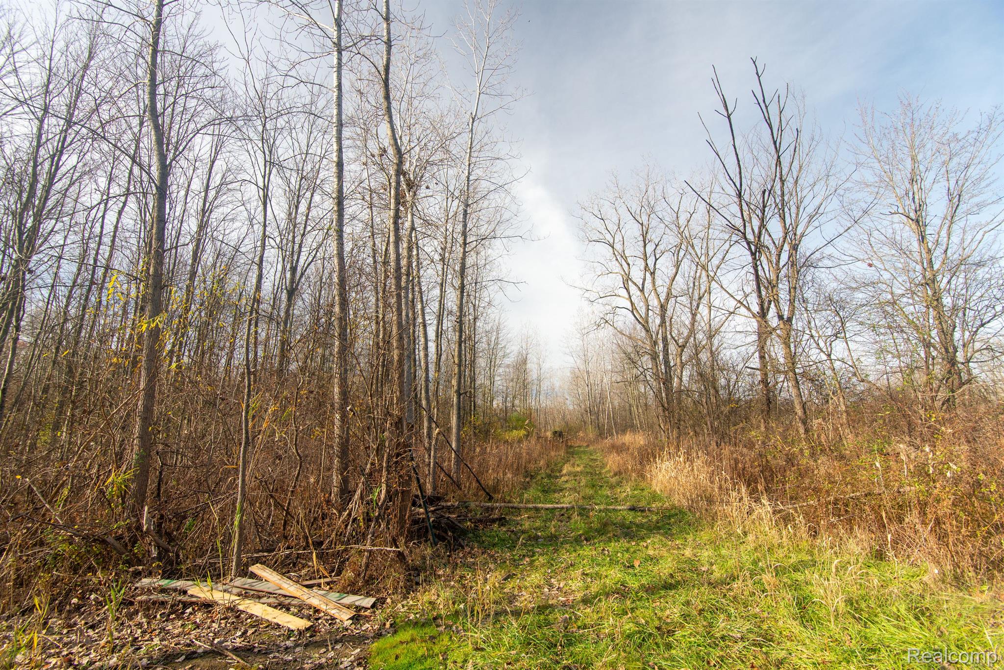 00 S Forest Lenox Township MI 48050