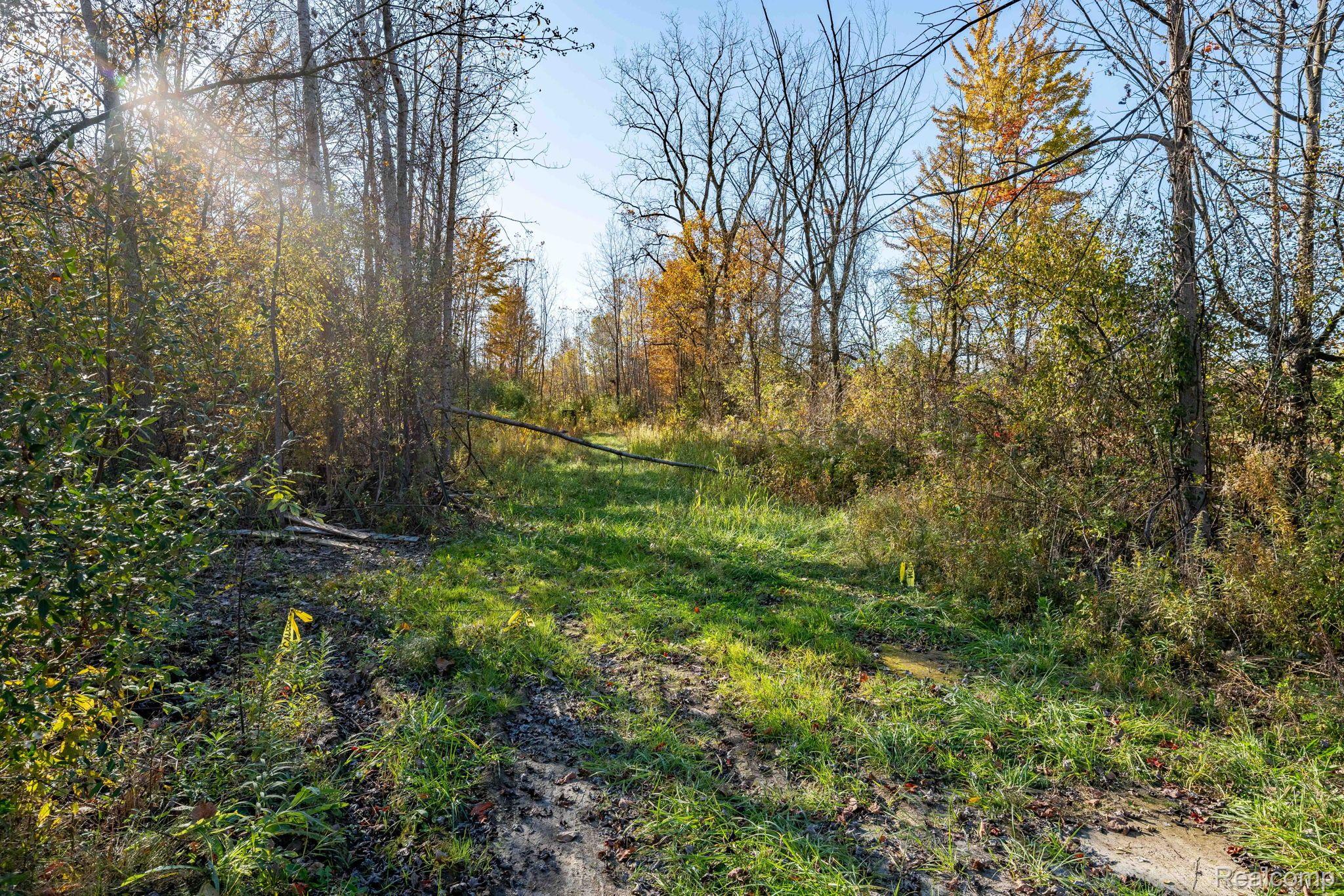00 S Forest Lenox Township MI 48050