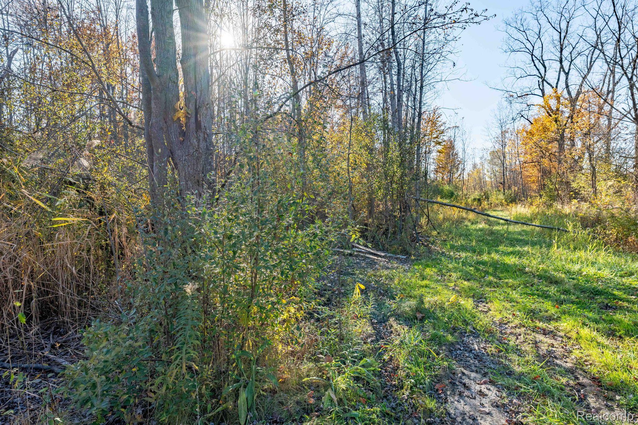 00 S Forest Lenox Township MI 48050