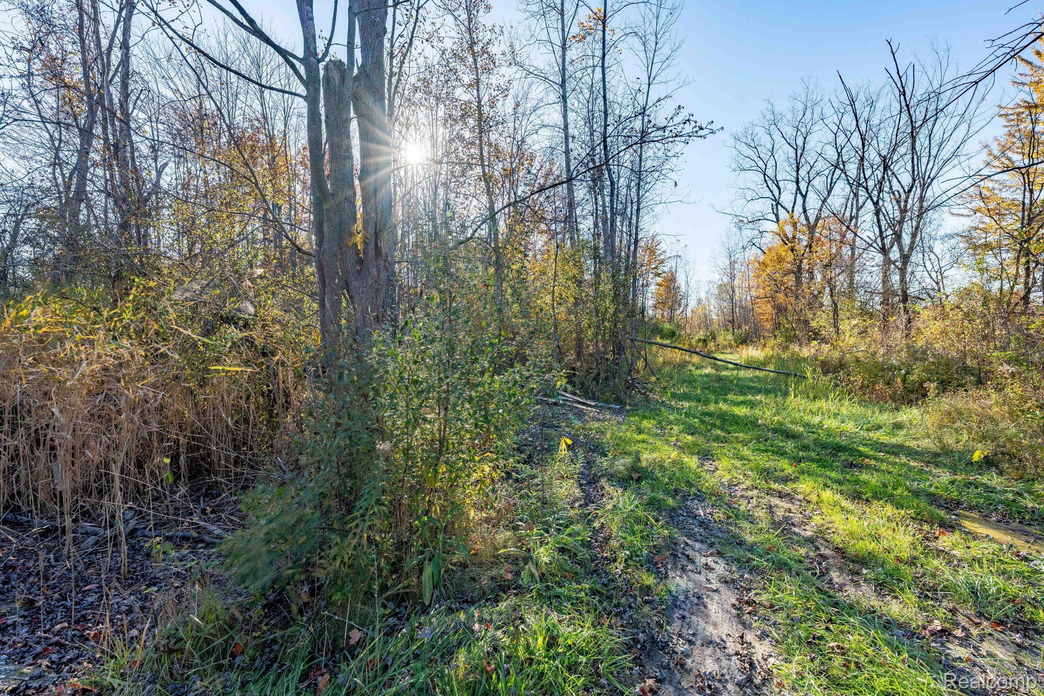 00 S Forest Lenox Township MI 48050