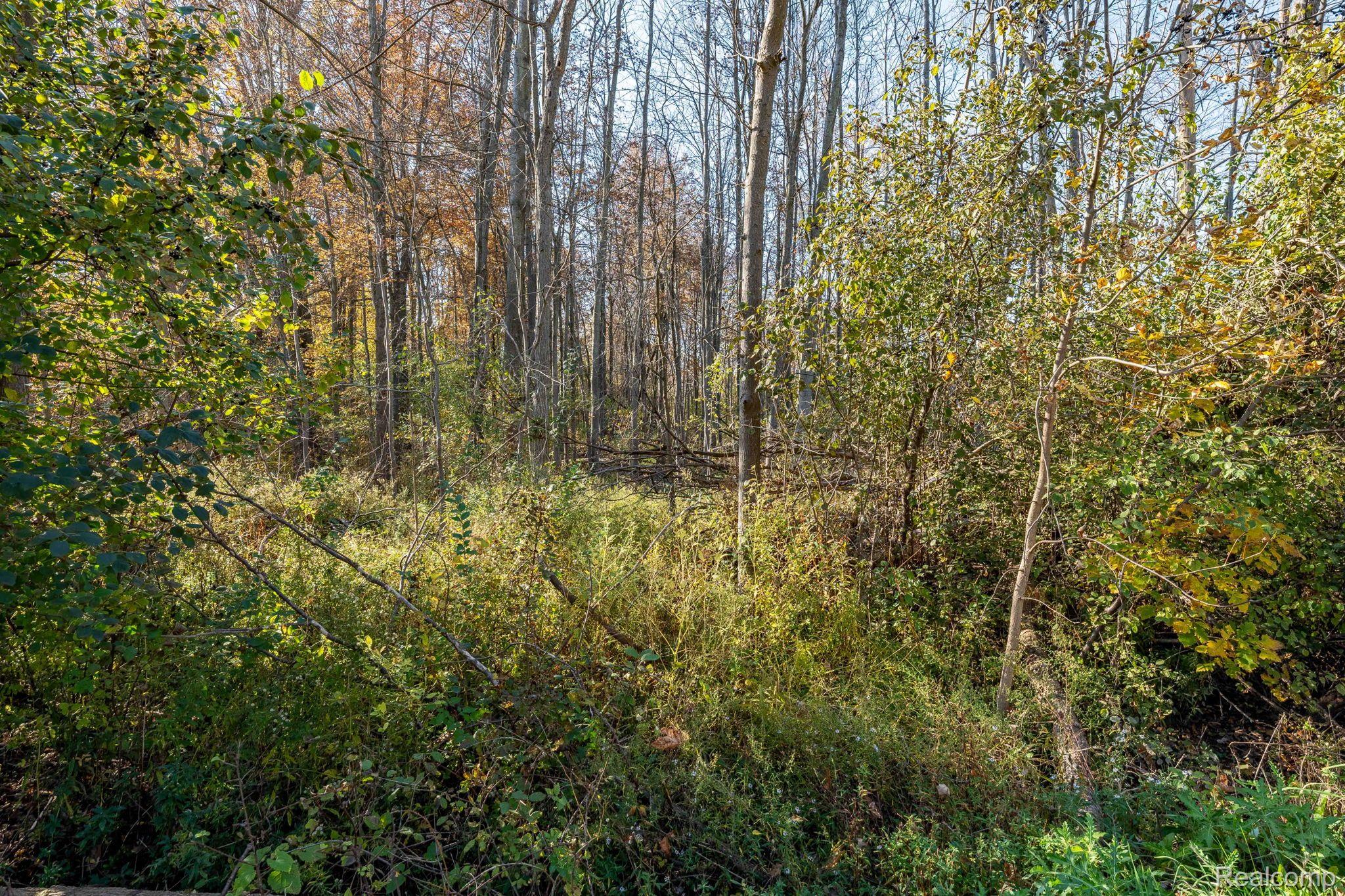 00 S Forest Lenox Township MI 48050