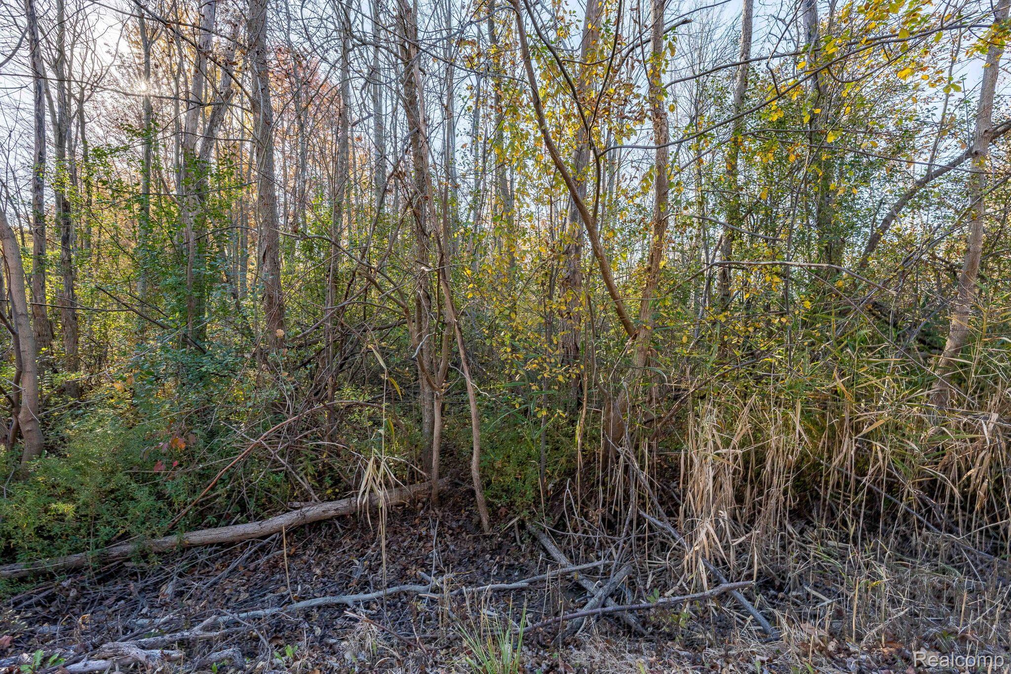 00 S Forest Lenox Township MI 48050