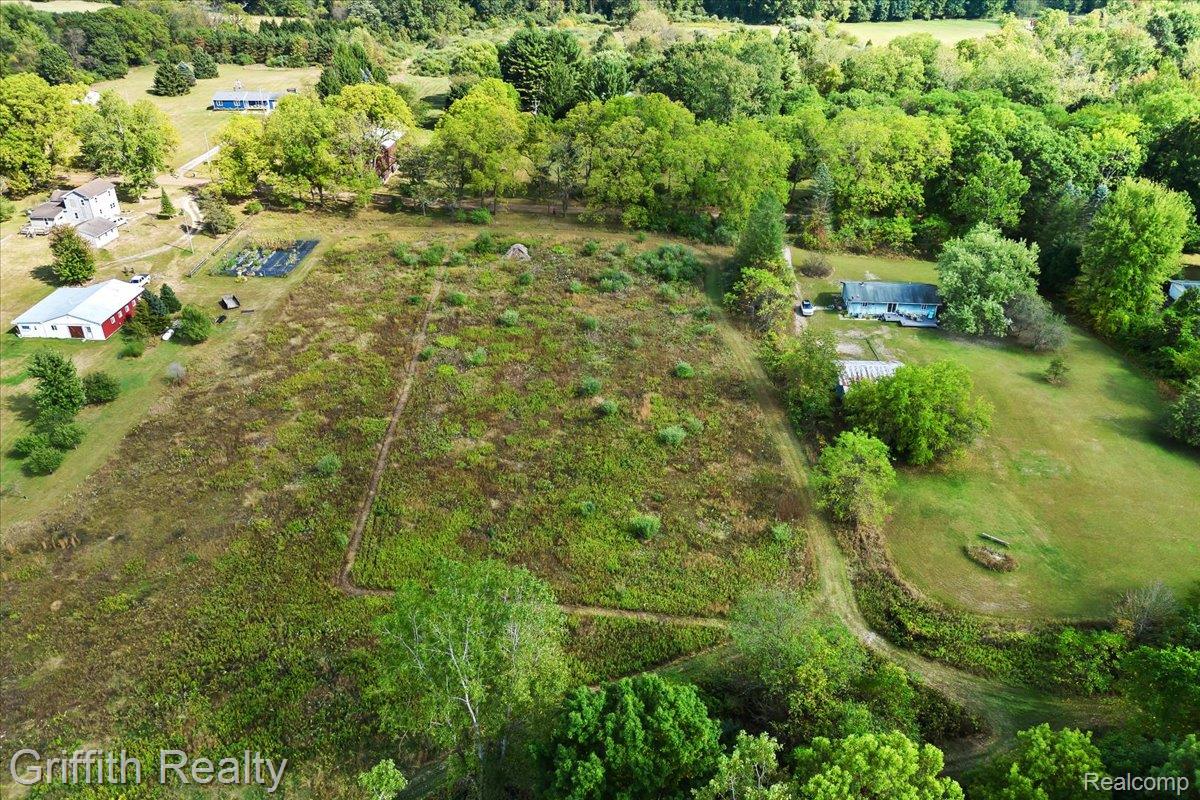 9800 Beeman Road Lyndon Township MI 48118